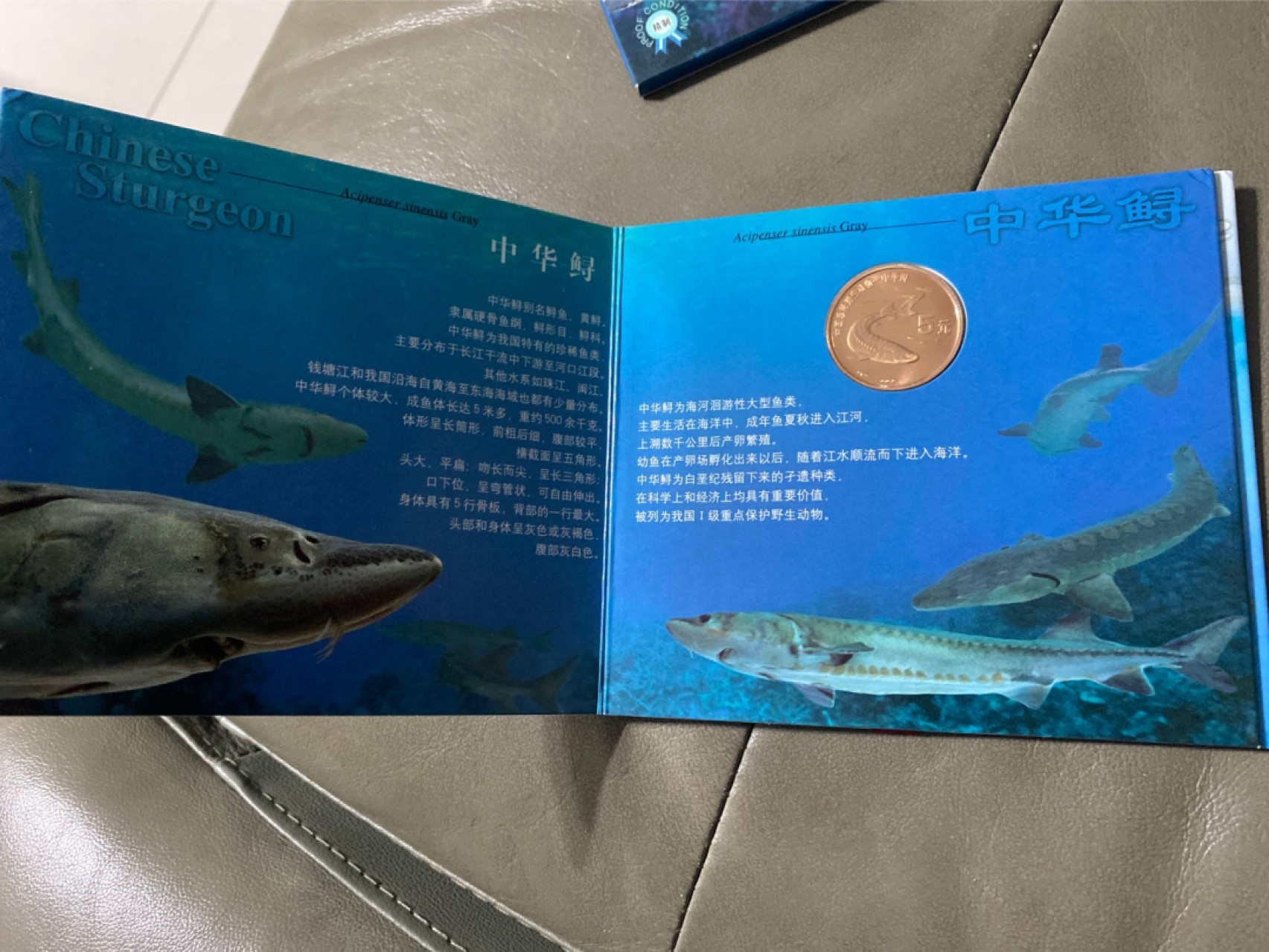 收藏联盟Quantum Auction 第196期拍卖 硬币精制币主打专场