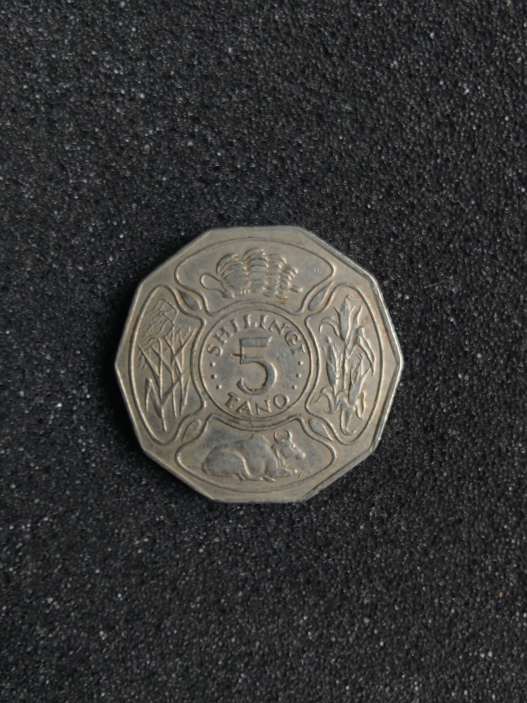 ♥一只鱼（世界钱币第一期） 坦桑尼亚5先令