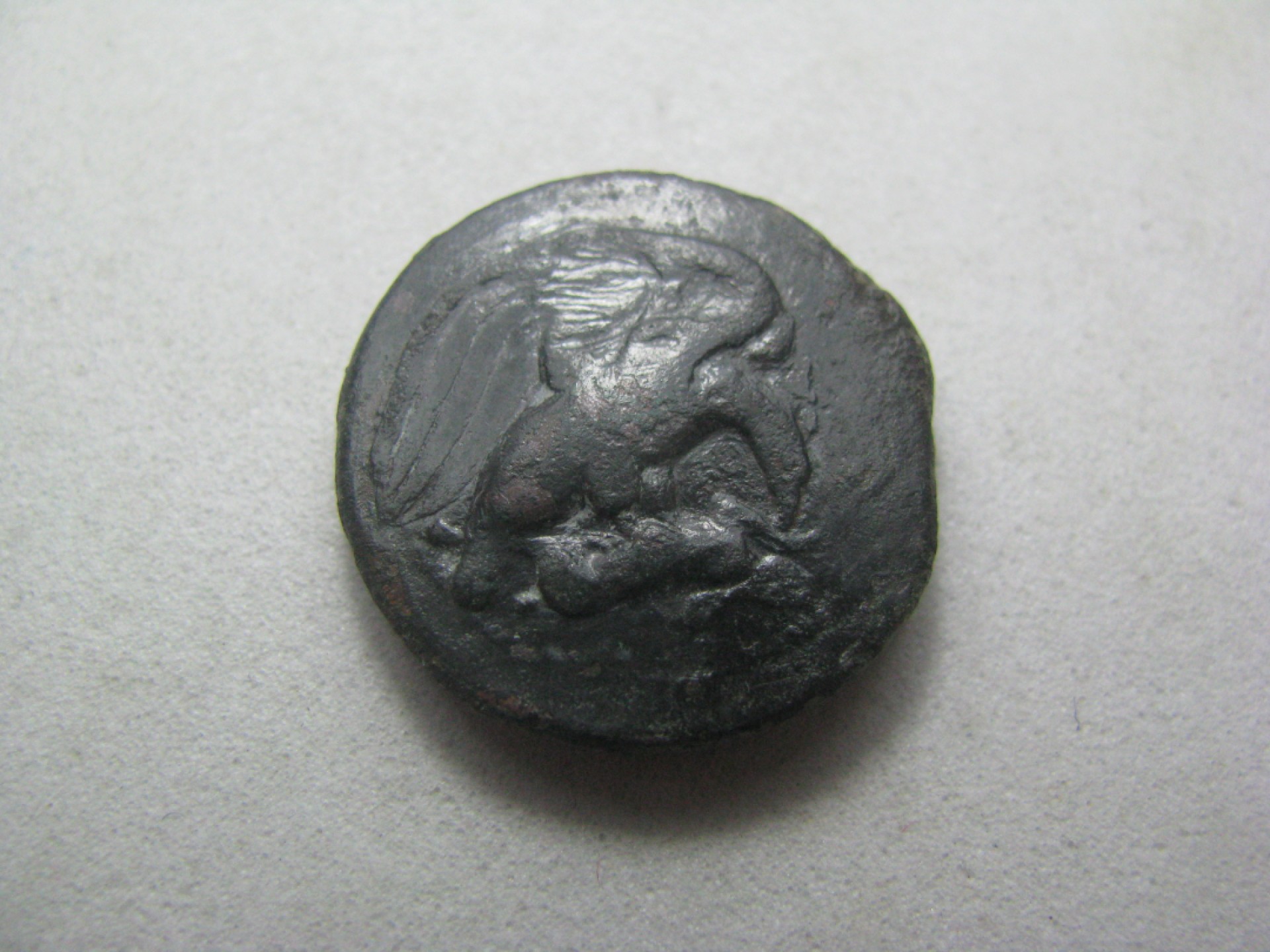 王之爱好～古希腊古罗马中亚丝路古币 螃蟹和捕食野兔的鹰