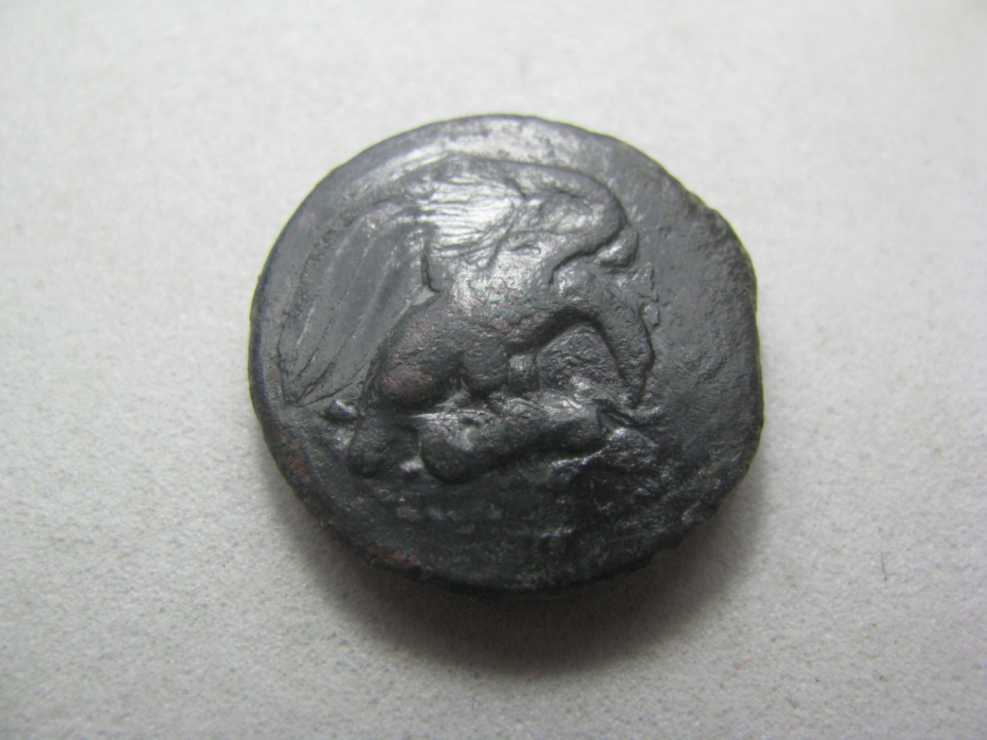 王之爱好～古希腊古罗马中亚丝路古币 螃蟹和捕食野兔的鹰