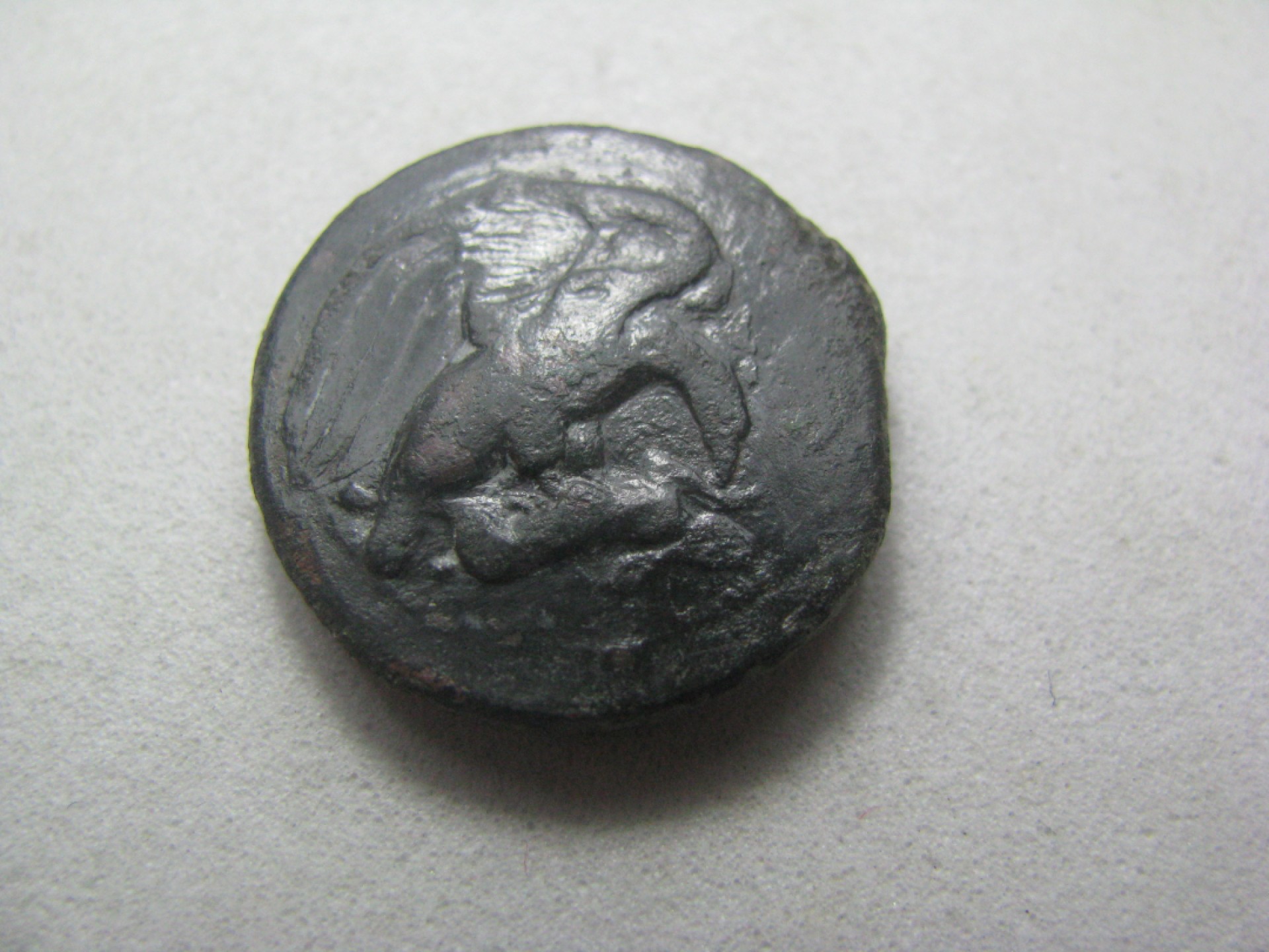 王之爱好～古希腊古罗马中亚丝路古币 螃蟹和捕食野兔的鹰