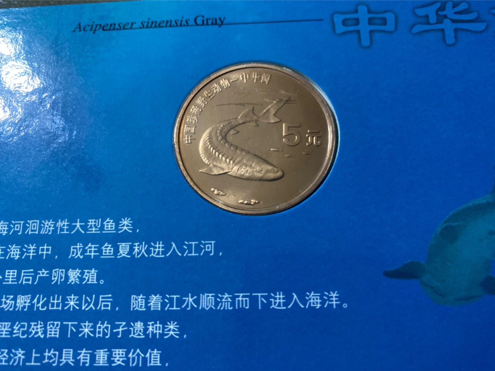 收藏联盟Quantum Auction 第196期拍卖 硬币精制币主打专场