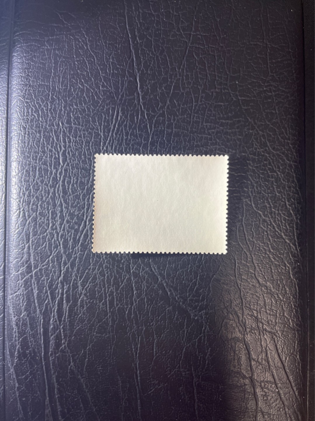 洪涛臻品 精选邮票限时拍卖第四十一期 文7写作盖销 几乎全品 一枚，无明显瑕疵，1967年发行，齿孔饱满，状态一流，书房必备。文革最热门品种之一。最后一枚，喜欢不要错过