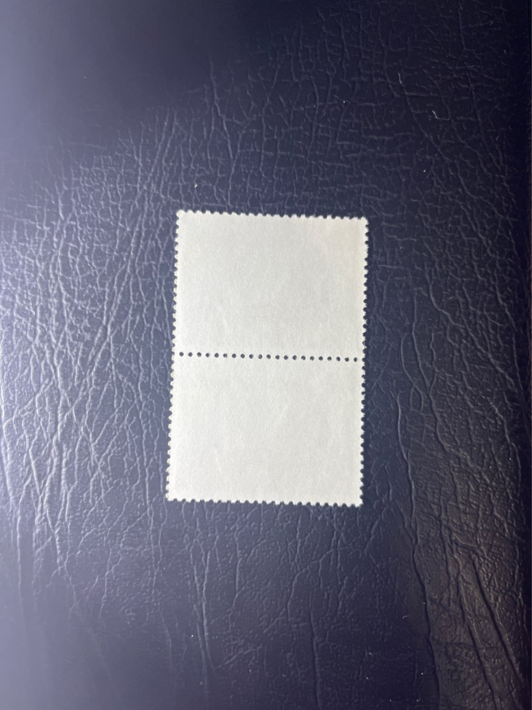洪涛臻品 精选邮票限时拍卖第四十一期 文17  10分  竖2连，喜欢不要错过，全品可评级。！《ASG评级处于初级阶段，注意建仓便宜的版撕货，未来市场前景不可估量！！！！》
