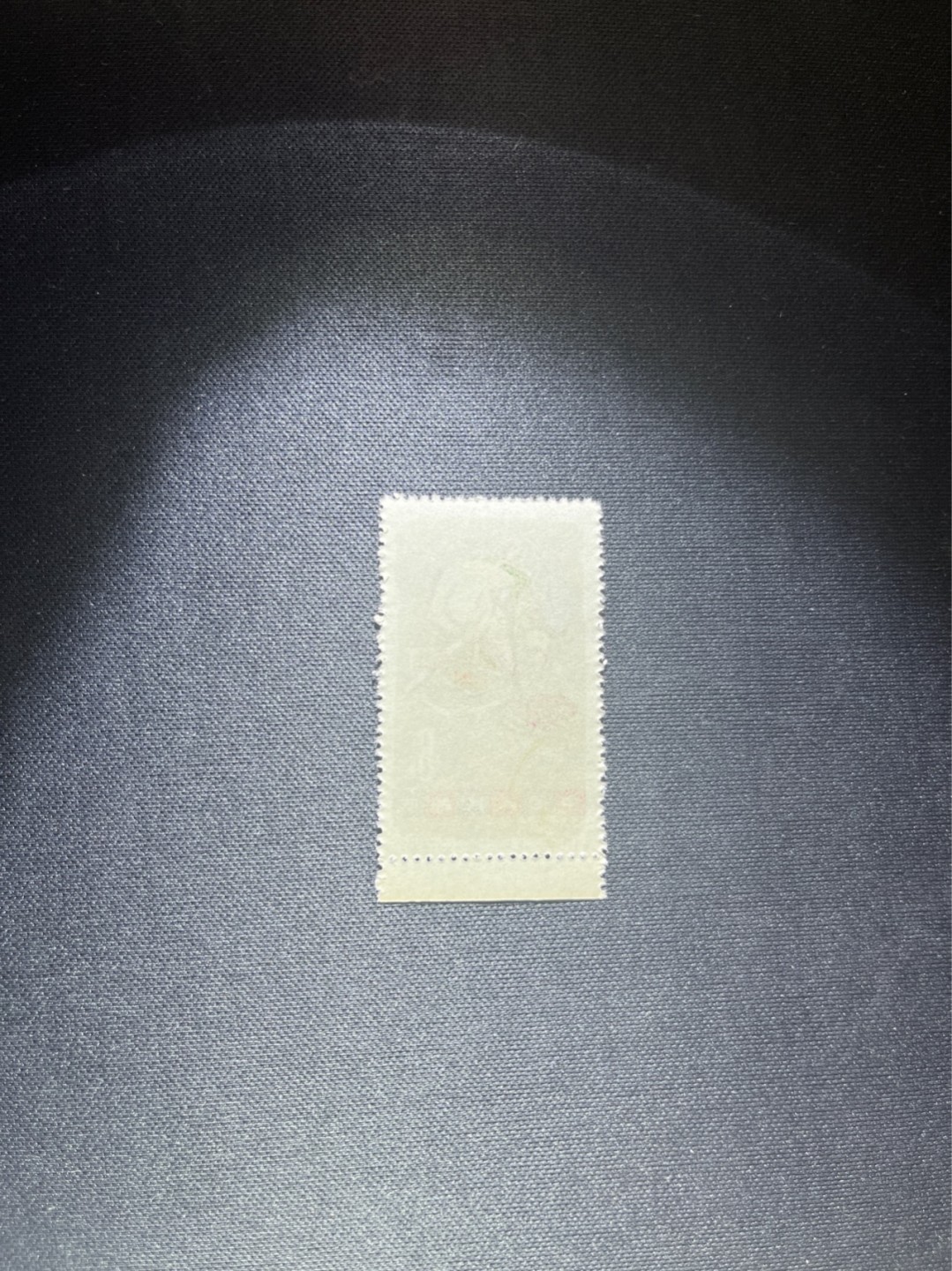 洪涛臻品 精选邮票限时拍卖第四十一期 特54儿童 盖销 12-3   一 枚，版撕全品嘎嘎绝， 面艳背白，生口，非常漂亮，热门票，草纸小票折痕多，全品数量有限，注意捡漏