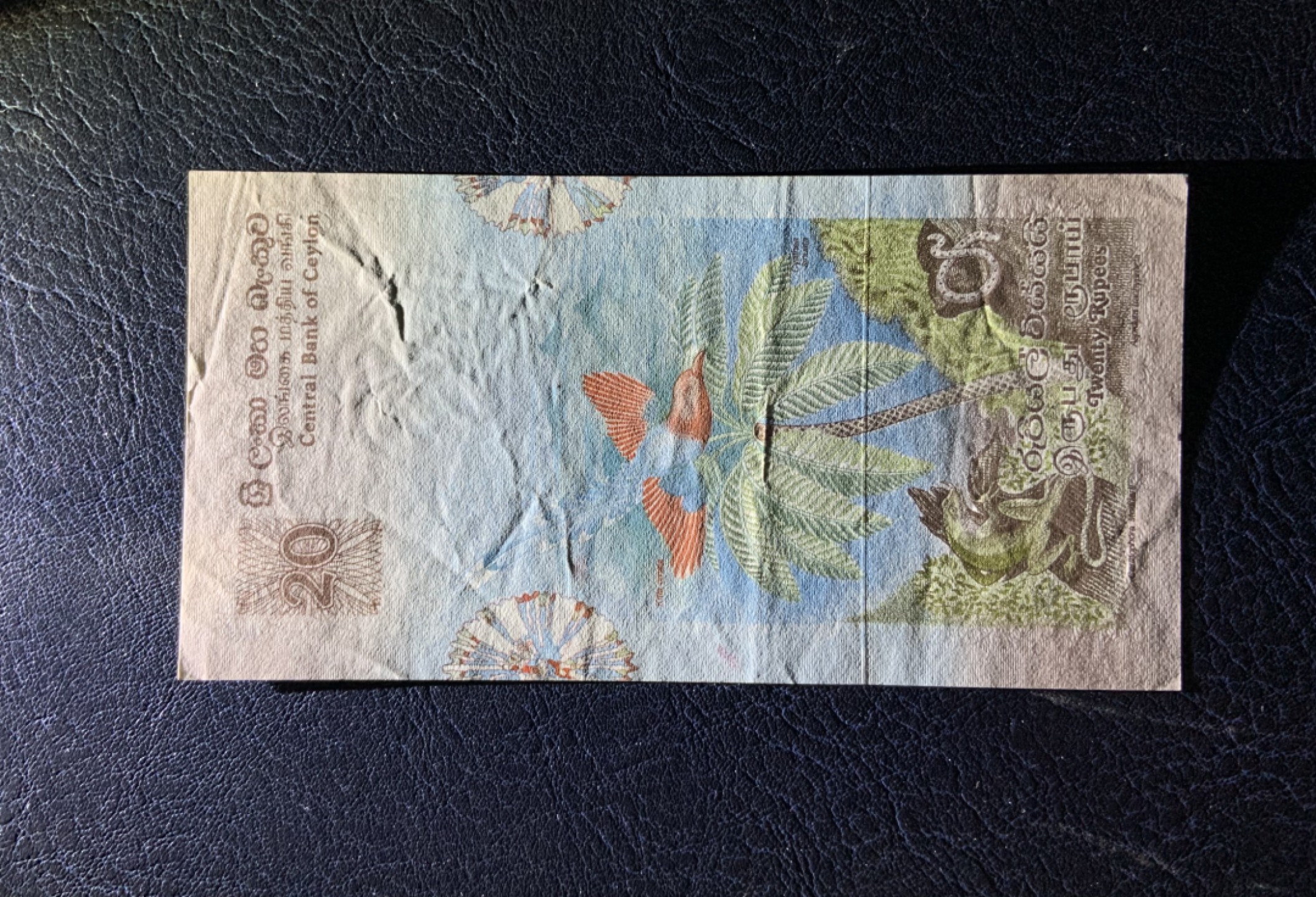 收藏联盟Quantum Auction 第195期拍卖(已更新) 斯里兰卡1979年20卢比 非全新 品相AU 经典花鸟版