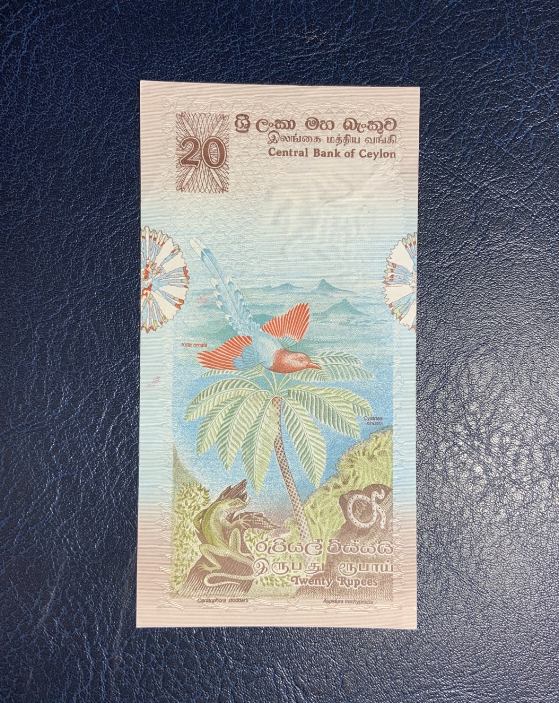 收藏联盟Quantum Auction 第195期拍卖(已更新) 斯里兰卡1979年20卢比 非全新 品相AU 经典花鸟版