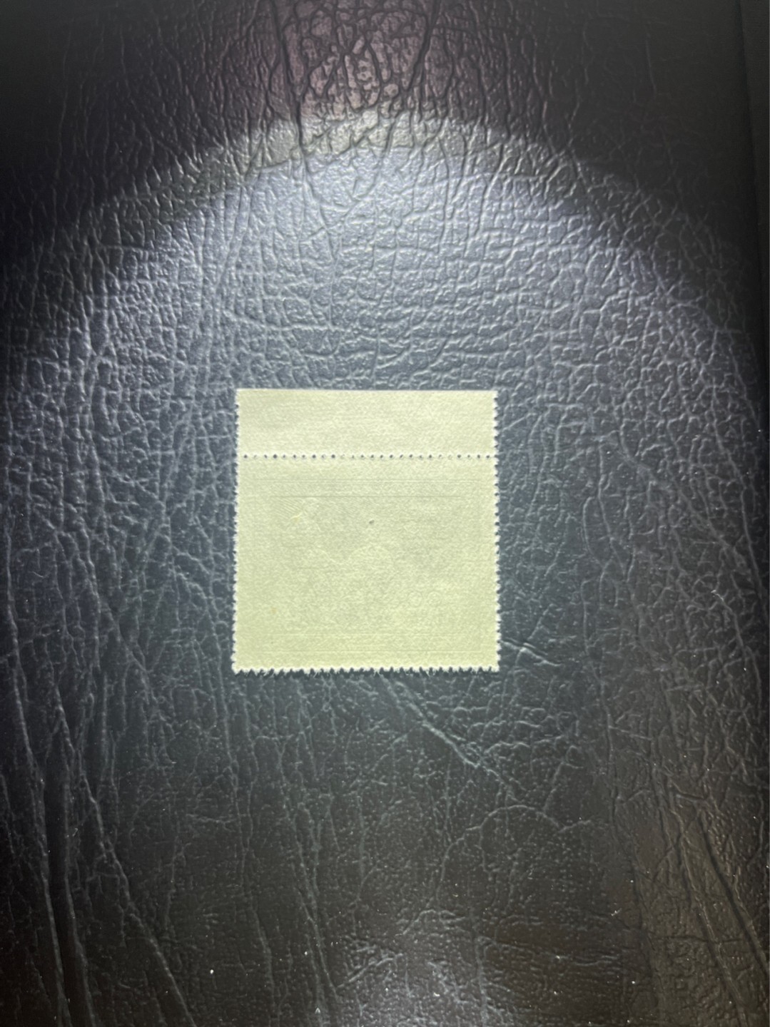 洪涛臻品 精选邮票限时拍卖第四十一期 纪26列宁新 次筋3-3   版撕全品嘎嘎绝✦绝品✦收藏级品相★老纪特经典票，ASG90分一套价格1500元左右，博分首选，收藏或评级必须选版撕票，注意捡漏