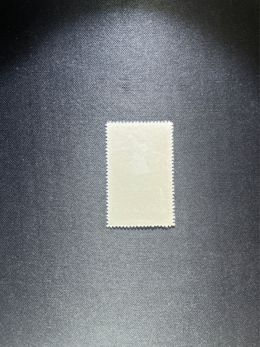 洪涛臻品 精选邮票限时拍卖第四十一期 特54儿童 盖销 12-2   一 枚，版撕全品嘎嘎绝， 面艳背白，生口，非常漂亮，热门票，草纸小票折痕多，全品数量有限，注意捡漏