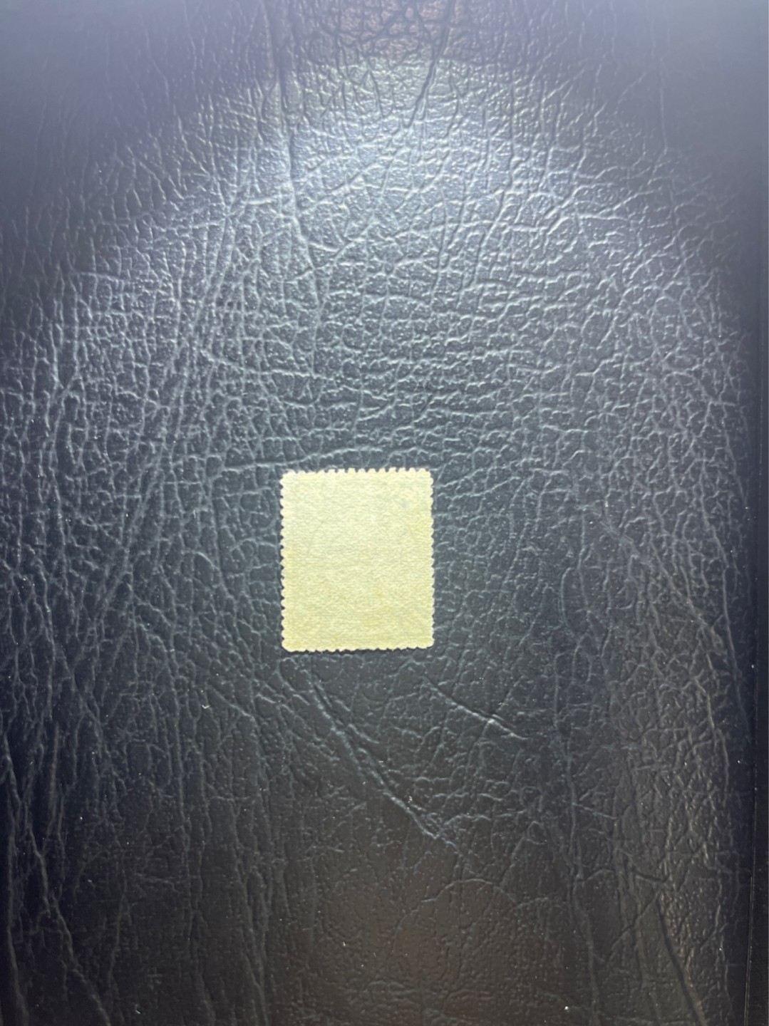 洪涛臻品 精选邮票限时拍卖第四十一期 大清龙票，蓝10分，广州戳，终生保真（图3仅供参考）！品相自定，百年古董难免有瑕疵。入手保真清代文物邮票的机会！