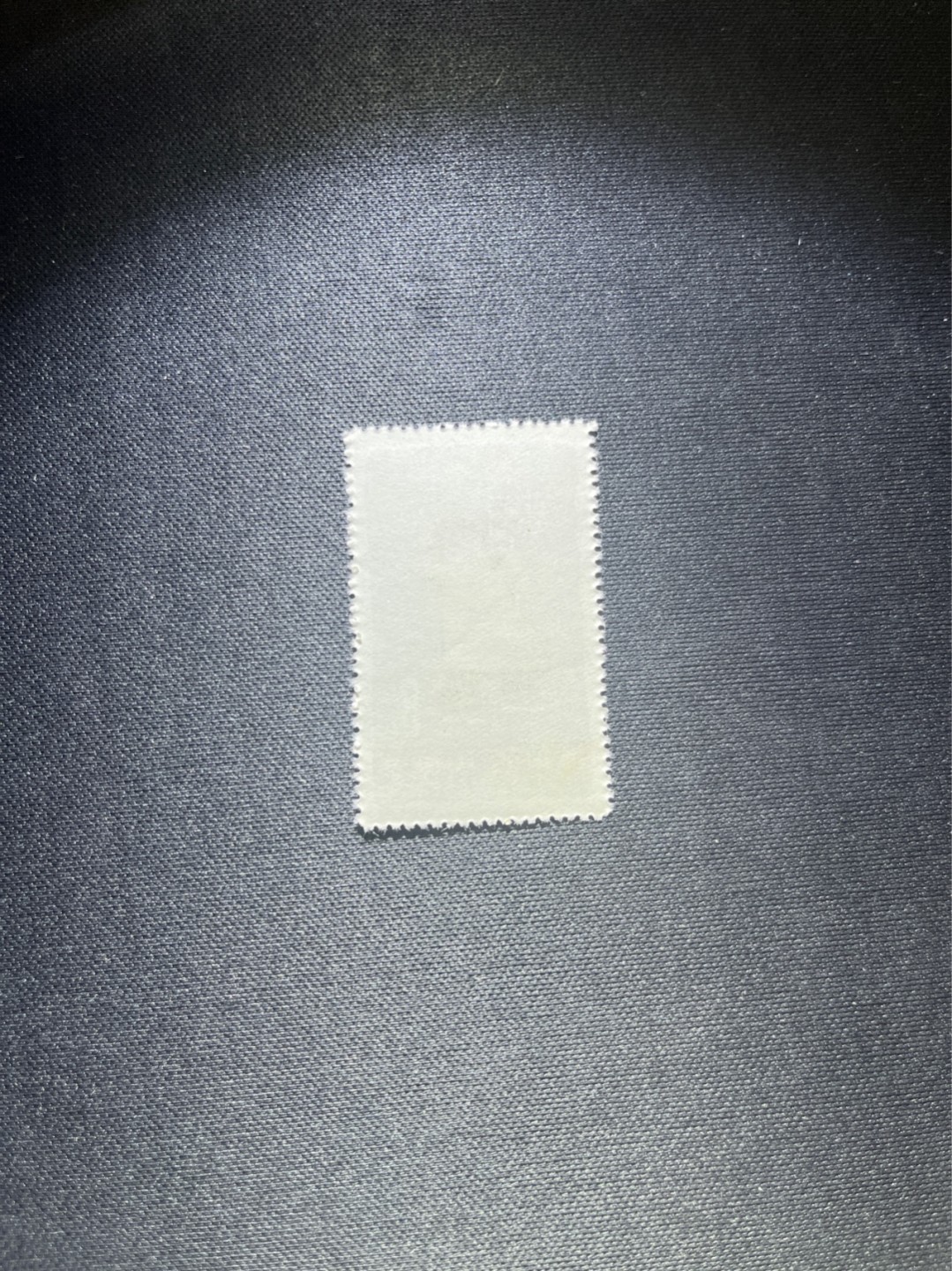 洪涛臻品 精选邮票限时拍卖第四十一期 特54儿童 盖销 12-4   一 枚，版撕全品嘎嘎绝， 面艳背白，生口，非常漂亮，热门票，草纸小票折痕多，全品数量有限，注意捡漏