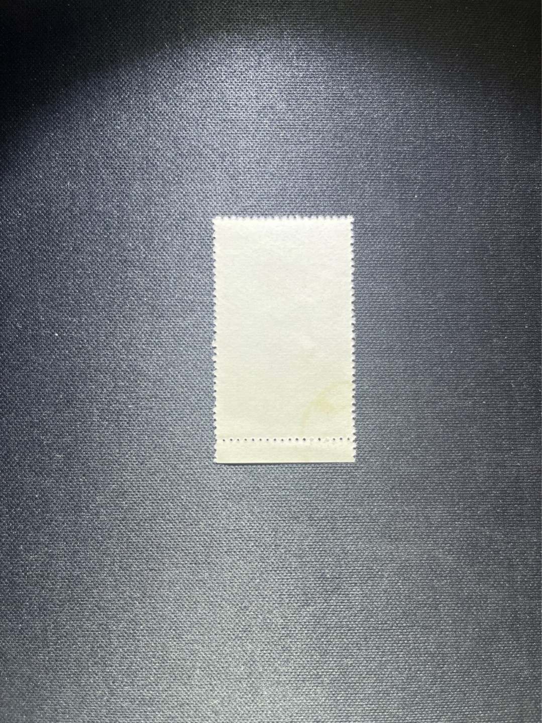 洪涛臻品 精选邮票限时拍卖第四十一期 特54儿童 盖销 12-10 筋票一枚，版撕全品嘎嘎绝✦ 面艳背白，生口，非常漂亮，热门票，草纸小票折痕多，全品数量有限，注意捡漏
