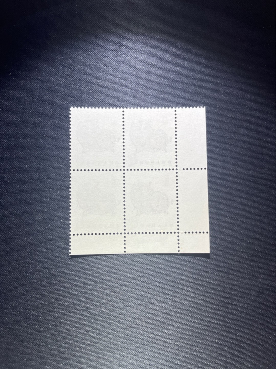 洪涛臻品 精选邮票限时拍卖第四十一期 T80生肖猪 方连一组  版撕全品嘎嘎绝，齿孔饱满，带边带色线，背面雪白，带硅胶手套撕版没有触痕，可评级。版撕红猪数量有限，注意捡漏