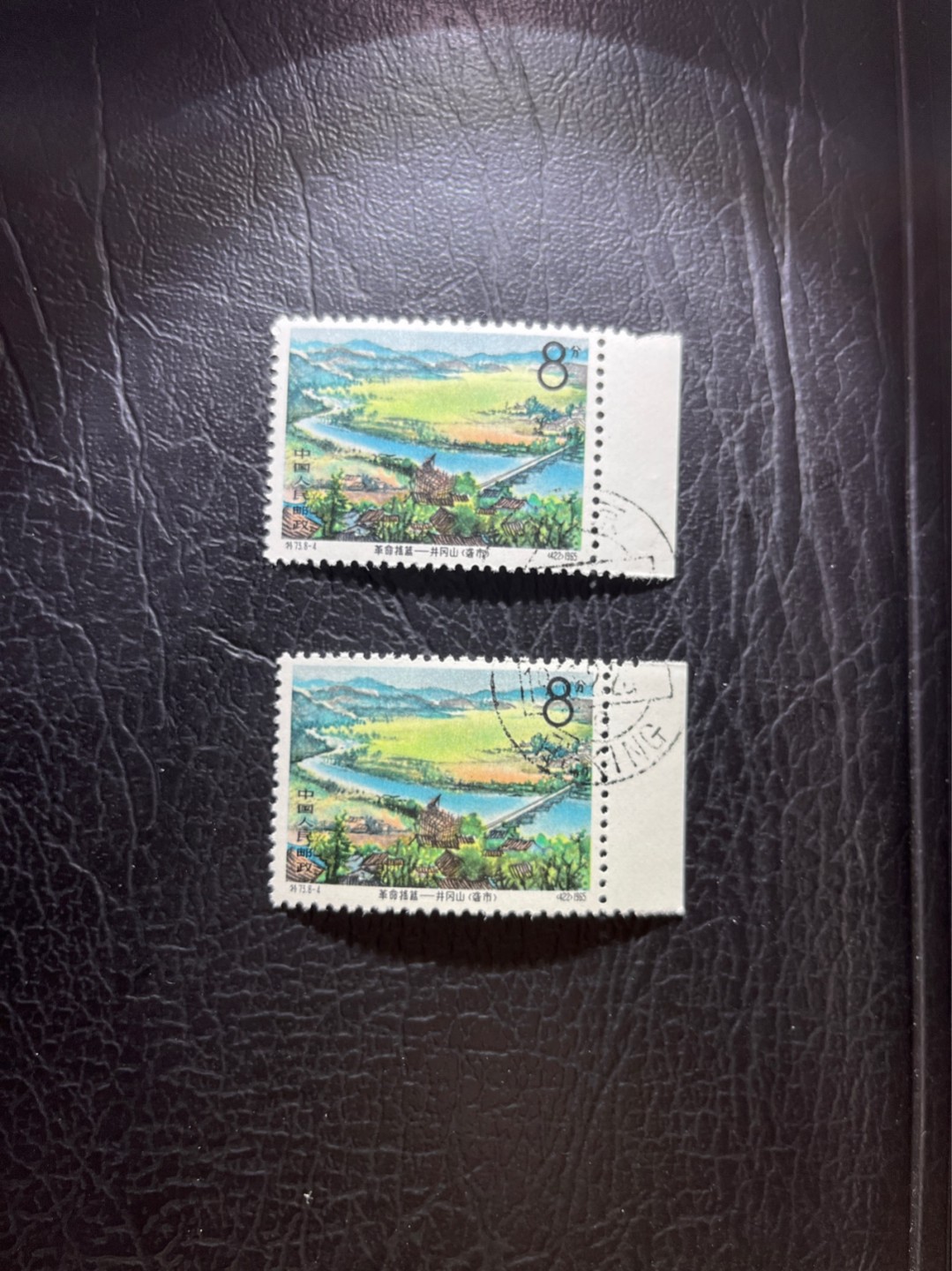 洪涛臻品 精选邮票限时拍卖第四十六期 热门品种，特73井冈山  盖销  8-4 边纸2枚，经典热门票，版撕全品嘎嘎绝，撕口新，适合收藏，喜欢不要错过，全品可评级