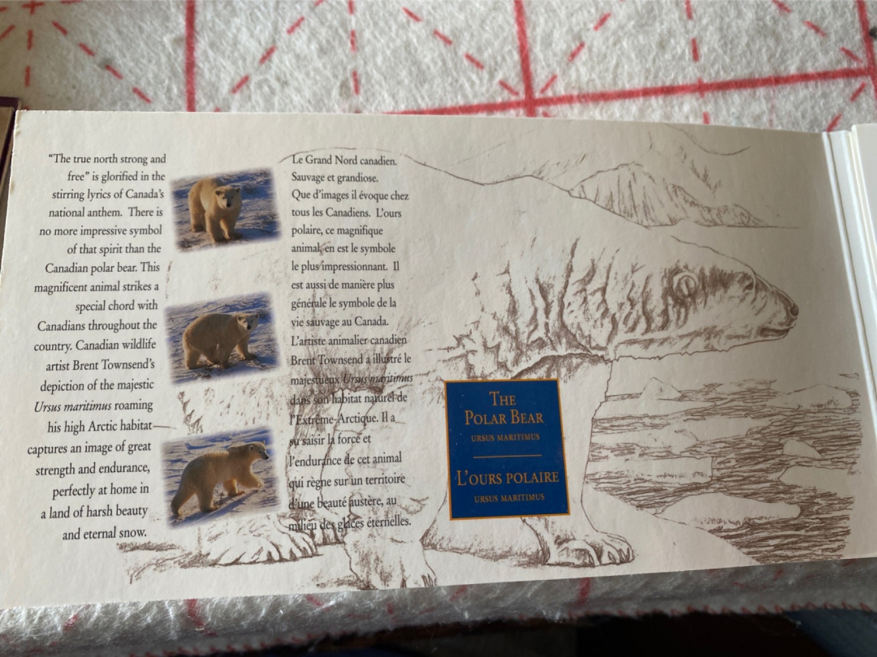 收藏联盟Quantum Auction 第196期拍卖 硬币精制币主打专场 1996年加拿大 钞币册