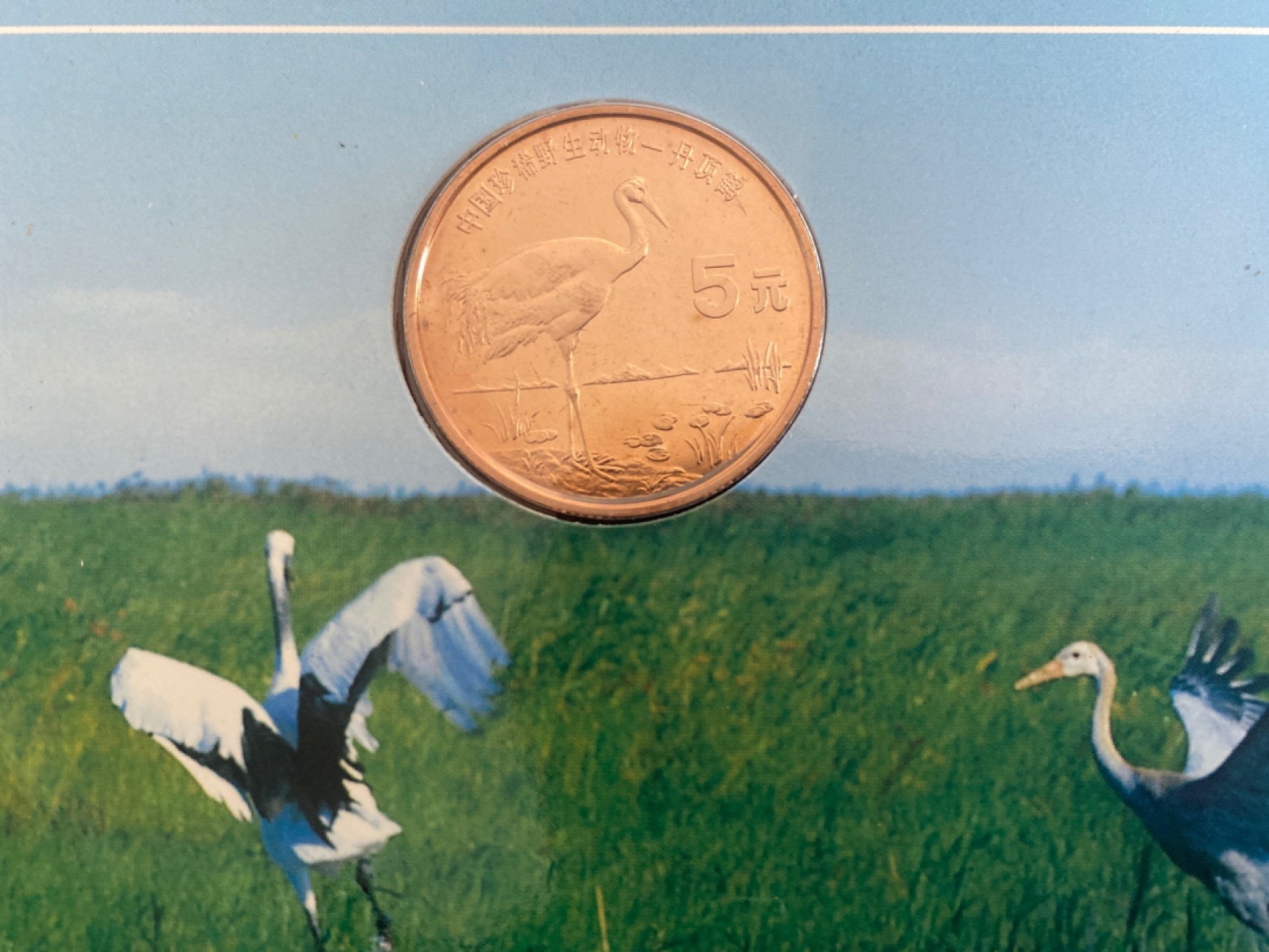 收藏联盟Quantum Auction 第196期拍卖 硬币精制币主打专场  中国珍稀野生动物 丹顶鹤纪念币 康银阁装帧卡币 精制币