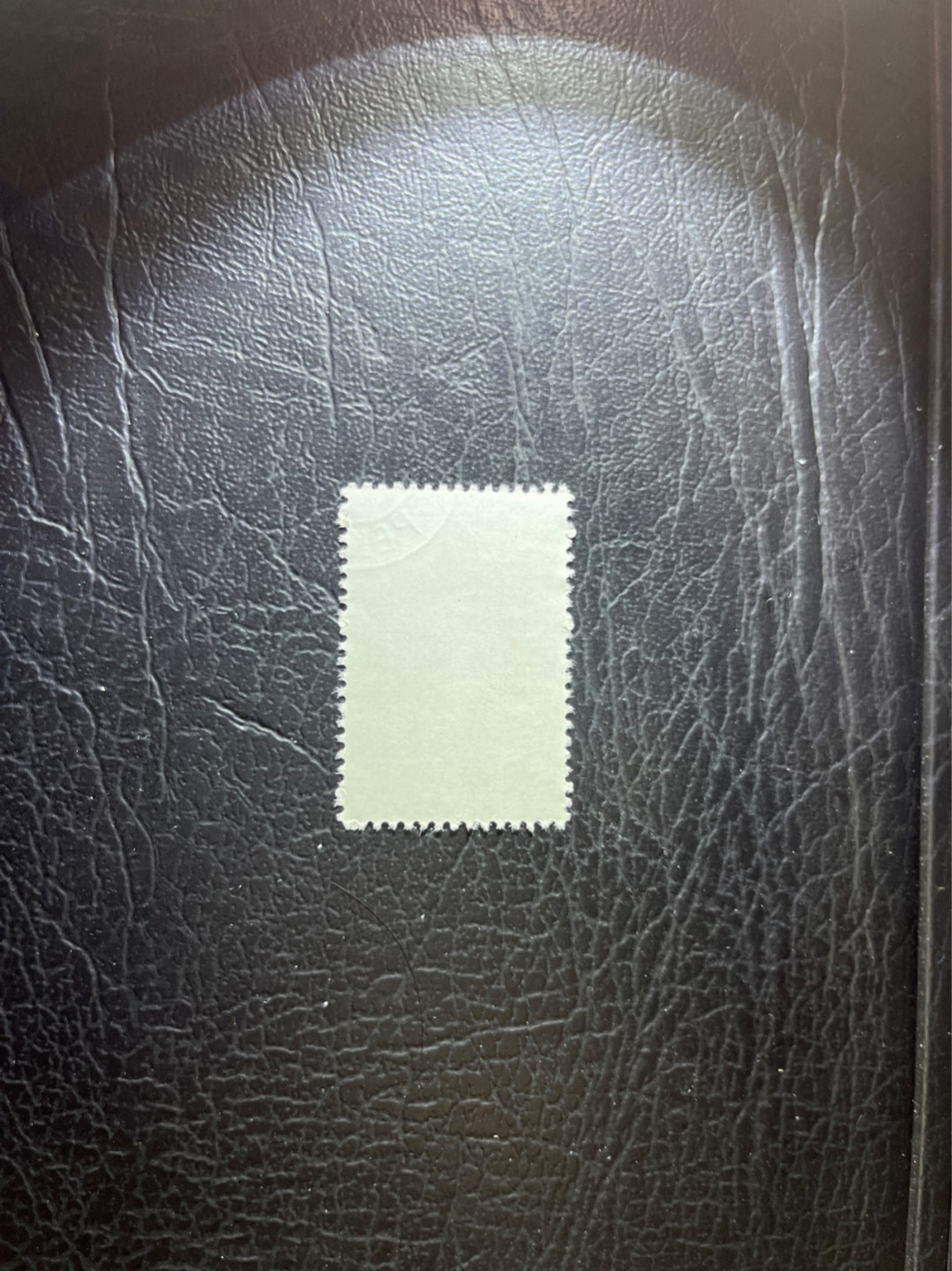 洪涛臻品 精选邮票限时拍卖第四十二期 特56蝴蝶盖销  20-10一枚，版撕全品嘎嘎绝，钢戳，面艳胶白，六珍之一，非常受欢迎的品种，新票价格高，盖销全品不要错过