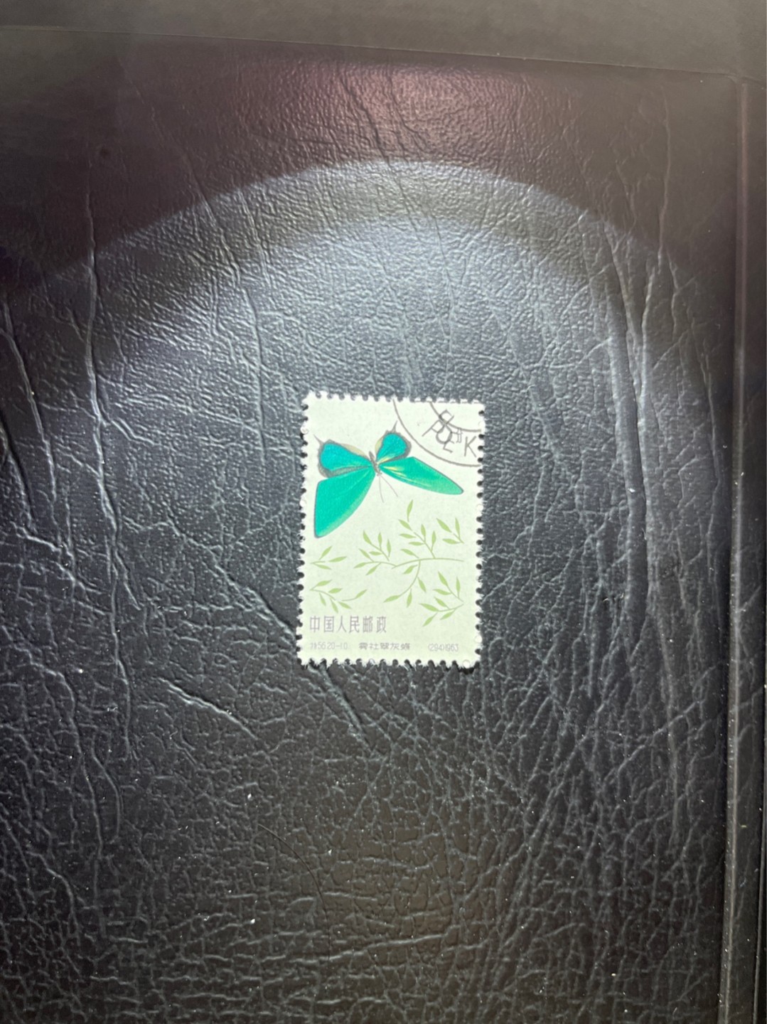 洪涛臻品 精选邮票限时拍卖第四十二期 特56蝴蝶盖销  20-10一枚，版撕全品嘎嘎绝，钢戳，面艳胶白，六珍之一，非常受欢迎的品种，新票价格高，盖销全品不要错过
