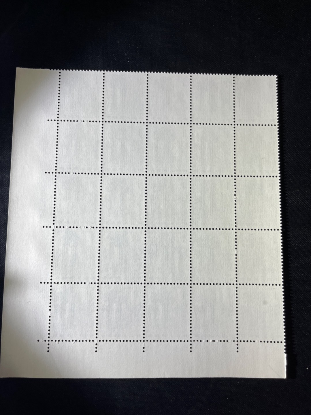 洪涛臻品 精选邮票限时拍卖第四十九期 普21  1分西双版纳 5×5共25枚  四分之一版  全品  注意捡漏