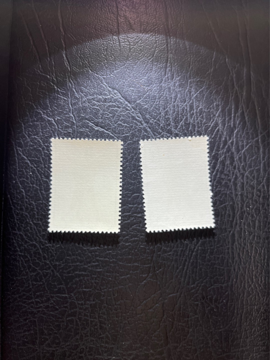 洪涛臻品 精选邮票限时拍卖第四十五期 特63青铜器8-1  8-4盖销  2枚一组，顺戳，版撕全品嘎嘎绝，  解放初的经典票，整版撕开，面艳胶白，票挺洁净，齿孔完美，收藏评级两相宜，且有高附加值边纸。老纪特的版票资源十分稀缺难寻，机会来临时必须抓住