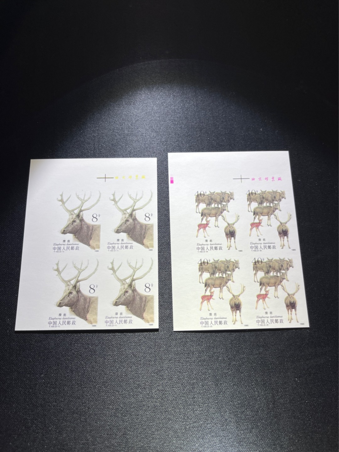 洪涛臻品 精选邮票限时拍卖第四十二期 T132无齿麋鹿新全 厂名 四方连一组  精品版货  精工细裁  收藏级品相  面艳背白，四角白尖，全程带硅胶手套操作，品相完美无瑕疵，喜欢的老板不要错过 