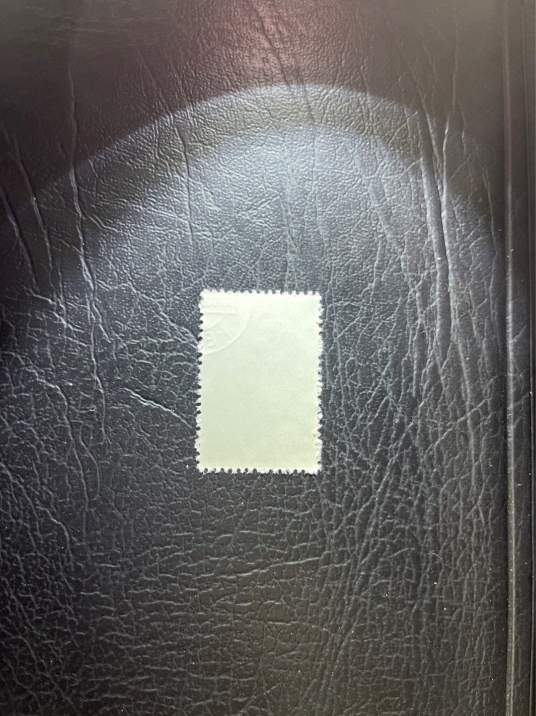 洪涛臻品 精选邮票限时拍卖第四十二期 特56蝴蝶盖销  20-11一枚，版撕全品嘎嘎绝，钢戳，面艳胶白，六珍之一，非常受欢迎的品种，新票价格高，盖销全品不要错过