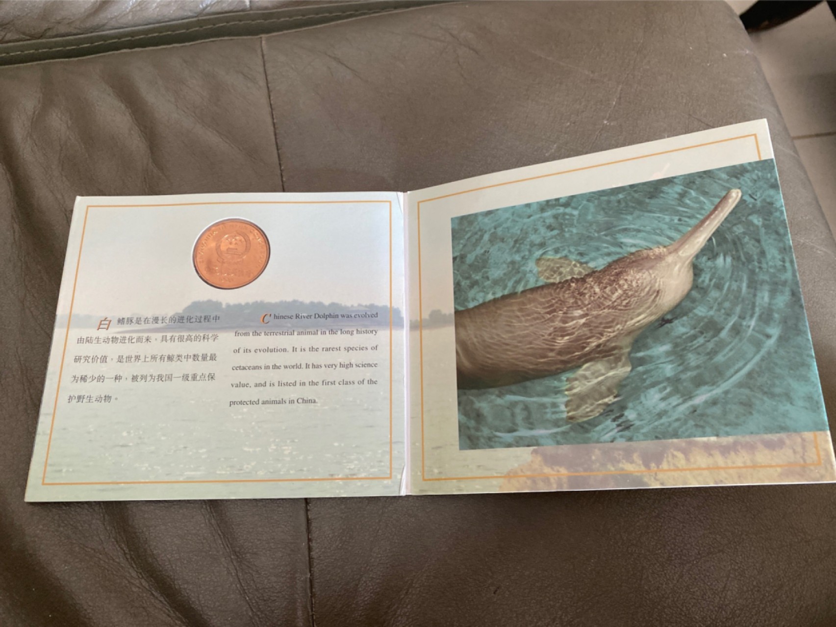 收藏联盟Quantum Auction 第196期拍卖 硬币精制币主打专场  中国珍稀野生动物 白鳍豚纪念币 康银阁装帧卡币 精制币