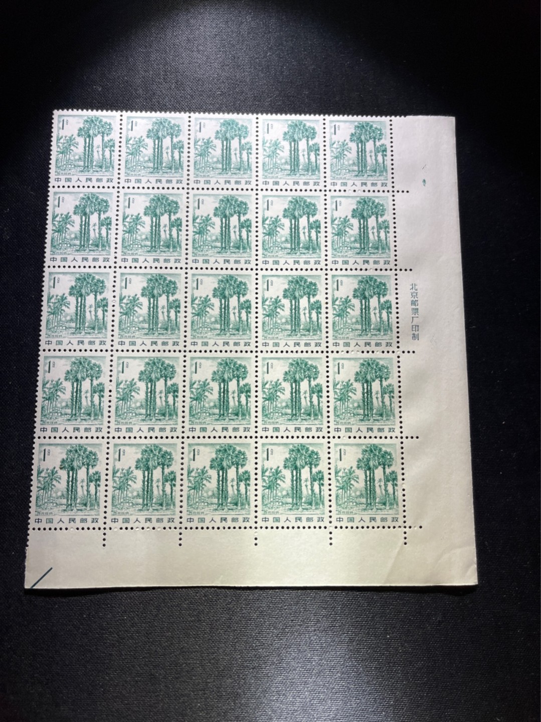 洪涛臻品 精选邮票限时拍卖第四十九期 普21  1分西双版纳 5×5共25枚  四分之一版  全品  注意捡漏