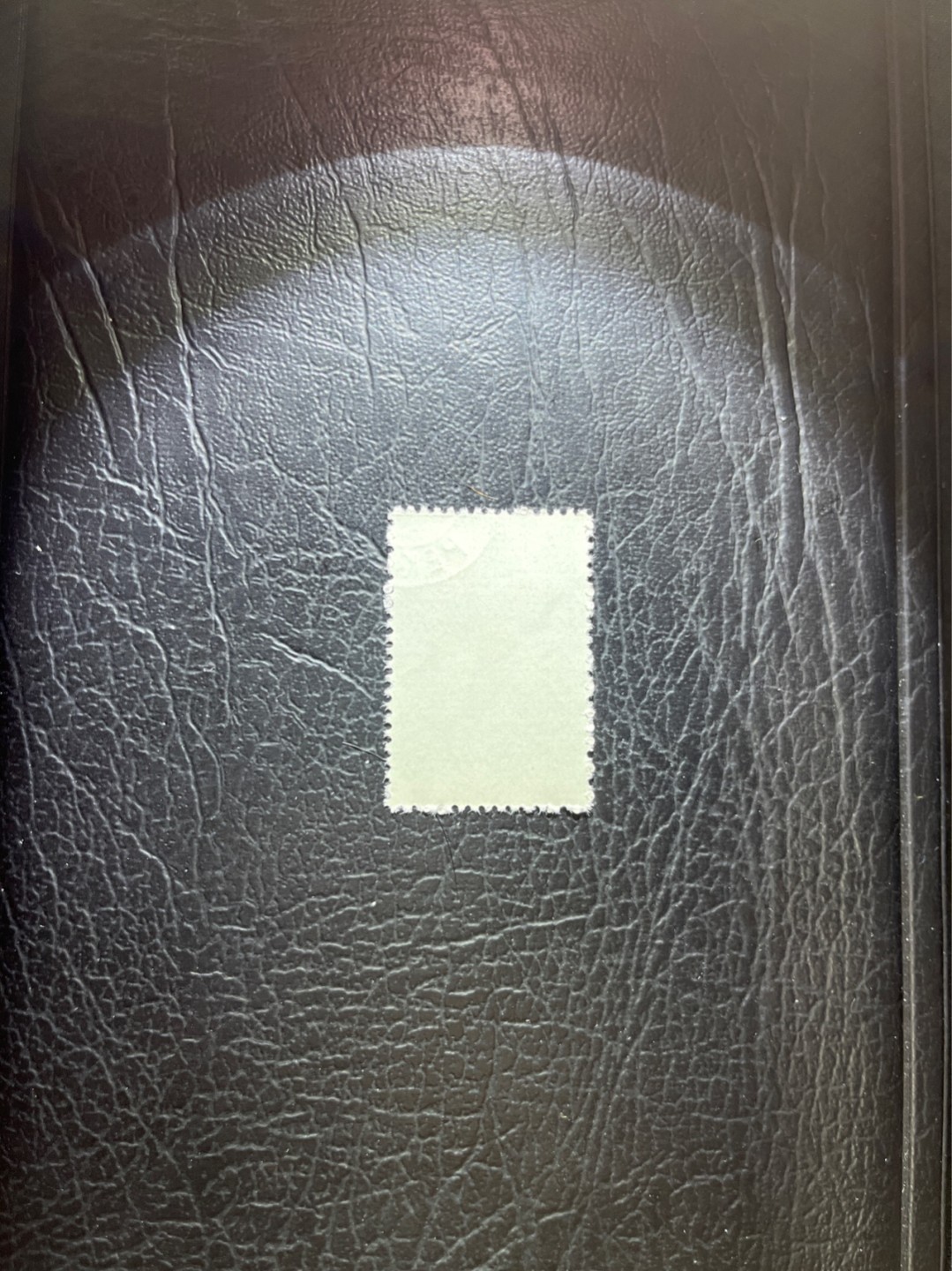 洪涛臻品 精选邮票限时拍卖第四十六期 特56蝴蝶盖销  20-8一枚，版撕全品嘎嘎绝，钢戳，面艳胶白，六珍之一，非常受欢迎的品种，新票价格高，盖销全品不要错过