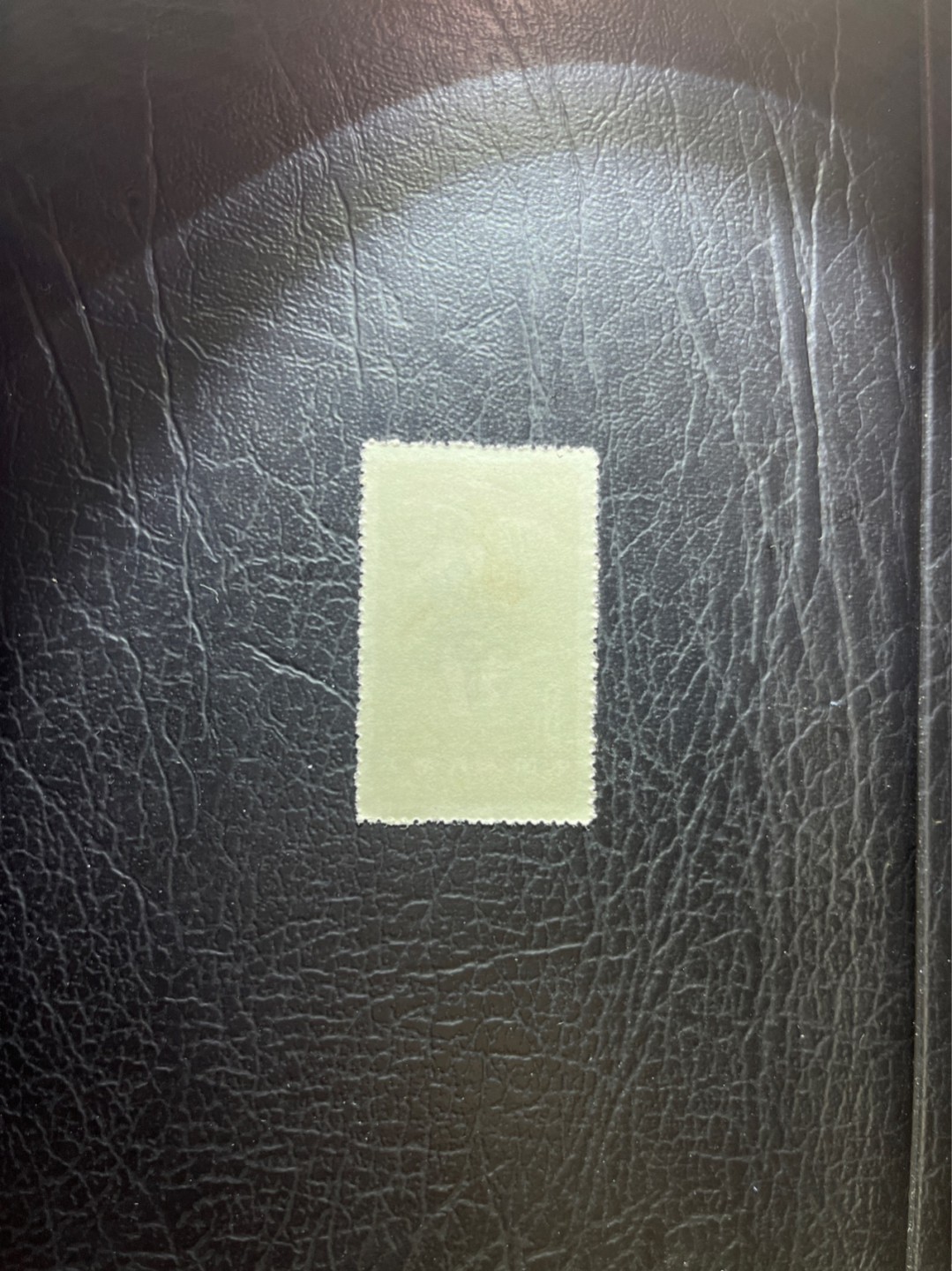 洪涛臻品 精选邮票限时拍卖第四十二期 特54儿童 盖销 12-8   一 枚，版撕全品嘎嘎绝， 面艳背白，生口，非常漂亮，热门票，草纸小票折痕多，全品数量有限，注意捡漏