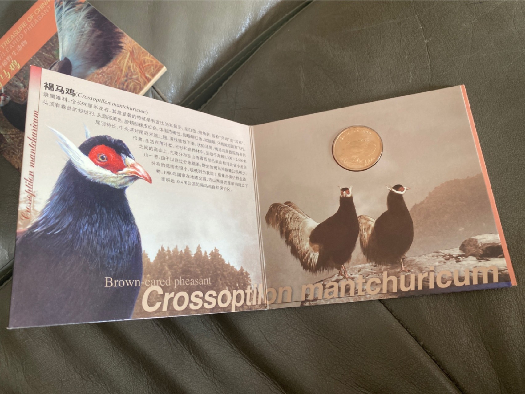 收藏联盟Quantum Auction 第196期拍卖 硬币精制币主打专场