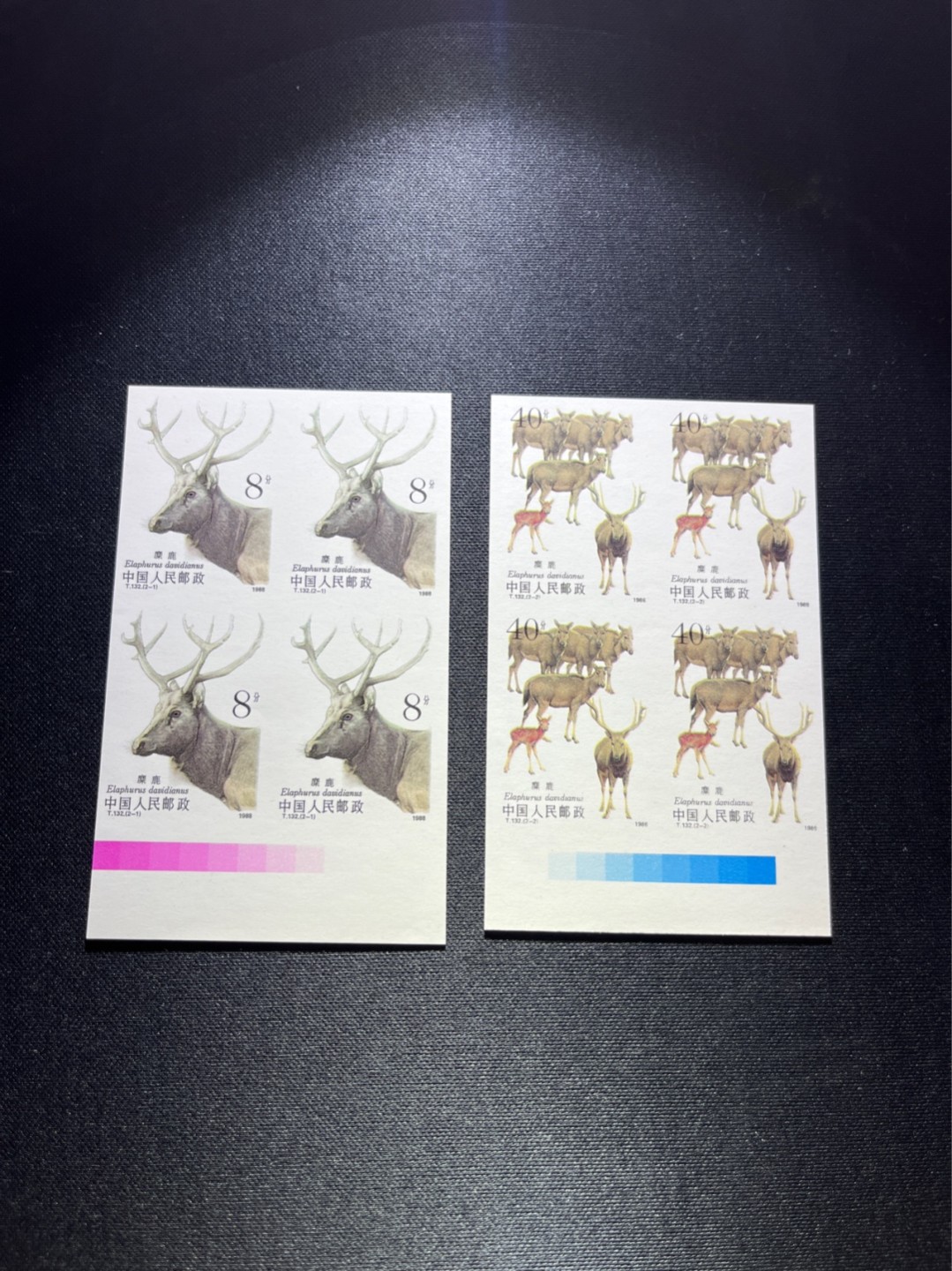 洪涛臻品 精选邮票限时拍卖第四十二期 T132无齿麋鹿新全   色标  四方连一组  精品版货  精工细裁 ，四角白尖， 收藏级品相  面艳背白，全程带硅胶手套操作，品相完美无瑕疵，喜欢的老板不要错过