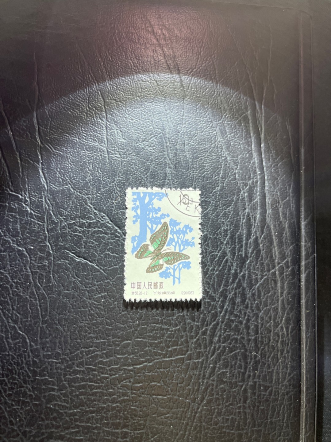 洪涛臻品 精选邮票限时拍卖第四十二期 特56蝴蝶盖销  20-12一枚，版撕全品嘎嘎绝，钢戳，面艳胶白，六珍之一，非常受欢迎的品种，新票价格高，盖销全品不要错过