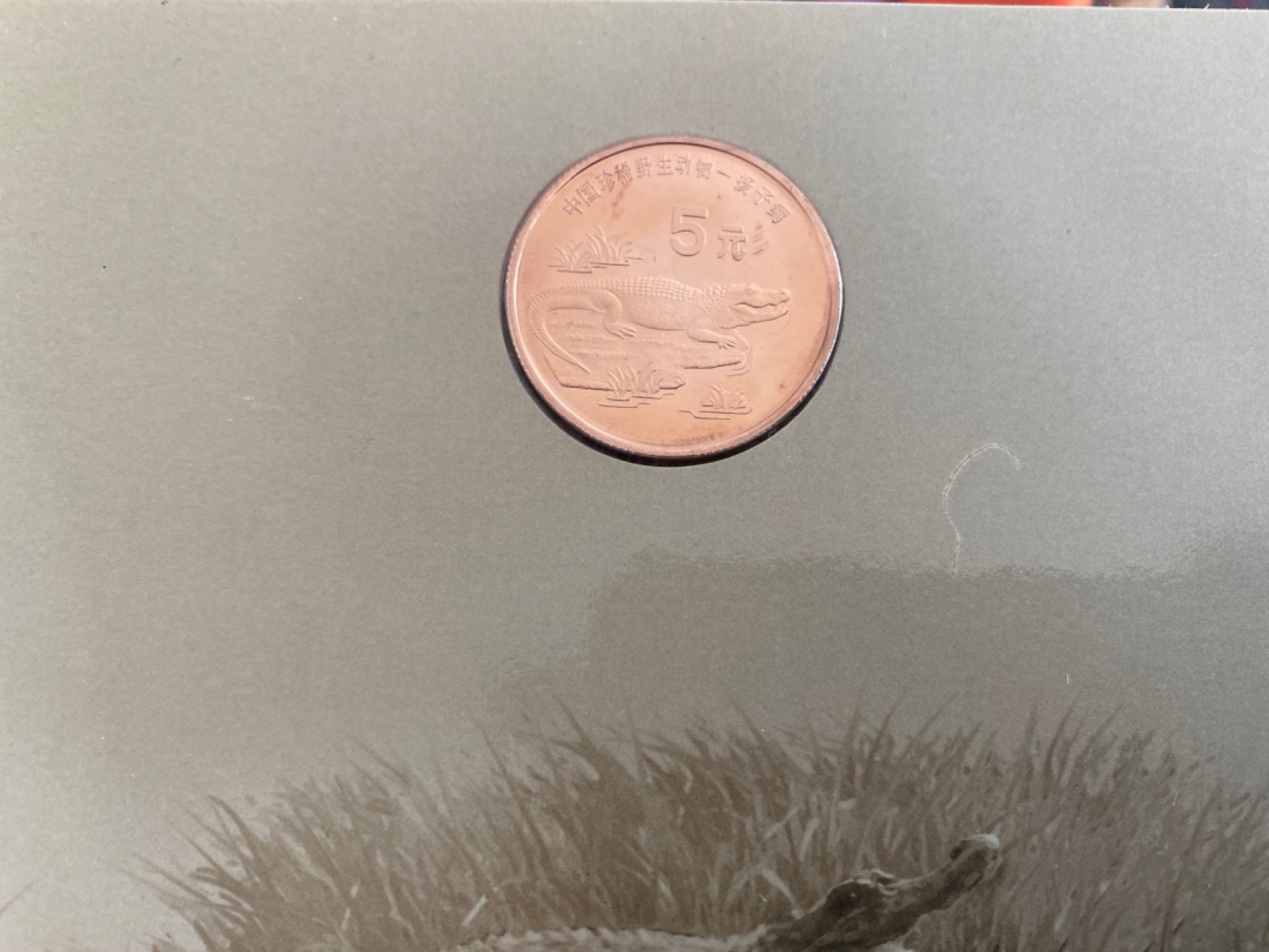 收藏联盟Quantum Auction 第196期拍卖 硬币精制币主打专场