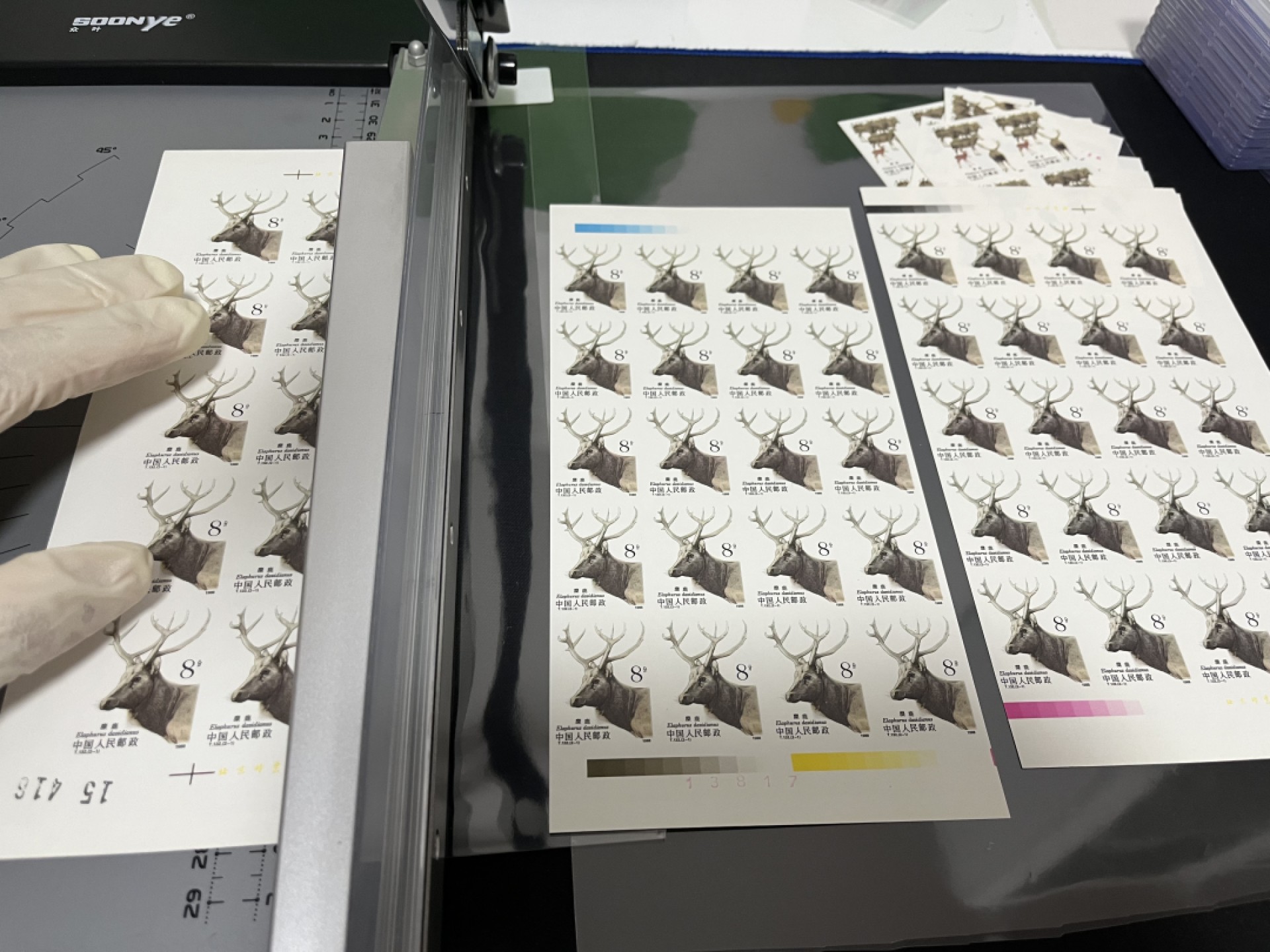洪涛臻品 精选邮票限时拍卖第四十八期 T132无齿麋鹿新全 2横连一组✦四角尖白✦精品版货  精工细裁  收藏级品相  面艳背白，全程带硅胶手套操作，品相完美无瑕疵，喜欢的老板不要错过