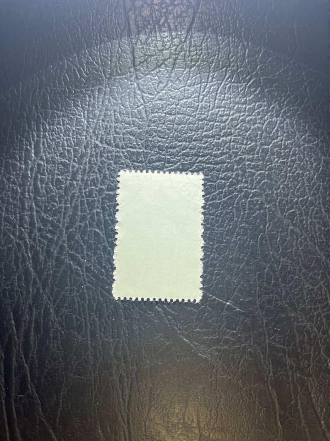 洪涛臻品 精选邮票限时拍卖第四十五期 特56蝴蝶盖销  20-10  版撕全品嘎嘎绝，非常漂亮，收藏首选★面艳胶白，六珍之一，非常受欢迎的品种，新票价格高，盖销全品不要错过