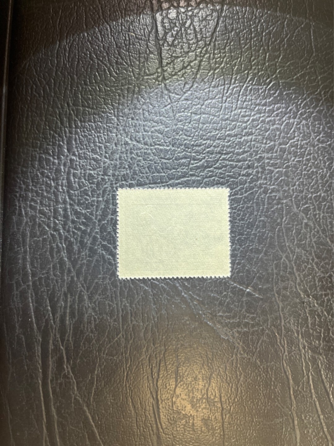 洪涛臻品 精选邮票限时拍卖第四十三期 纪26列宁新 次筋3-3   版撕全品嘎嘎绝✦绝品✦收藏级品相★老纪特经典票，ASG90分一套价格1500元左右，博分首选，收藏或评级必须选版撕票，注意捡漏