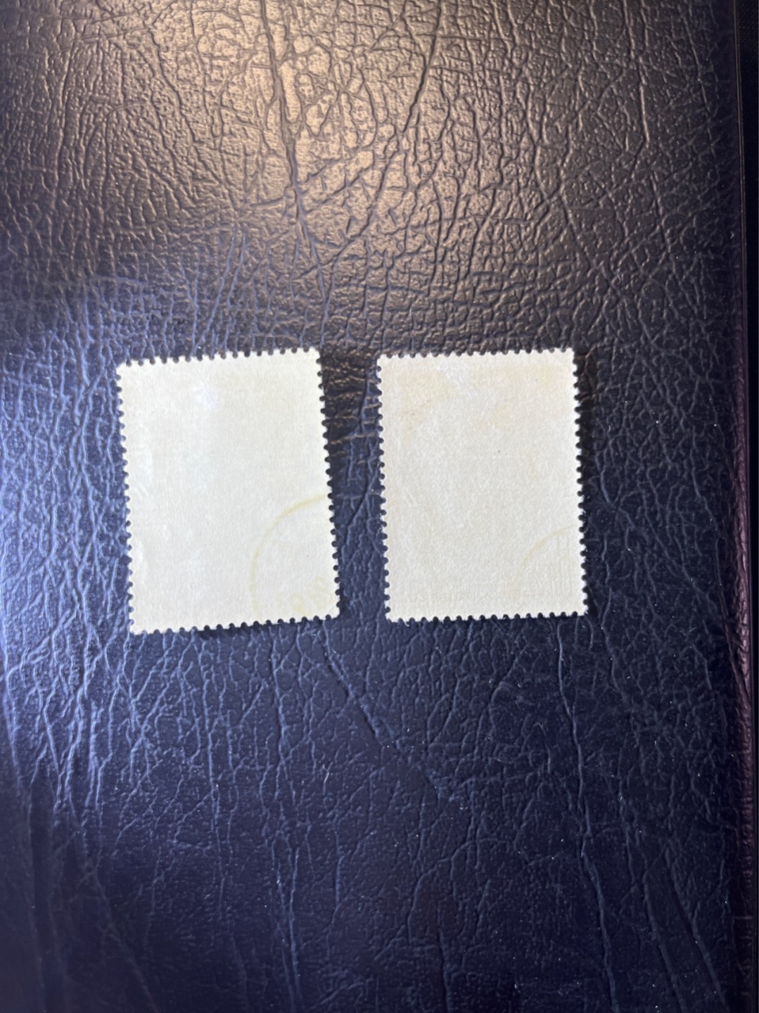 洪涛臻品 精选邮票限时拍卖第四十五期 纪84白求恩盖销全套  上品