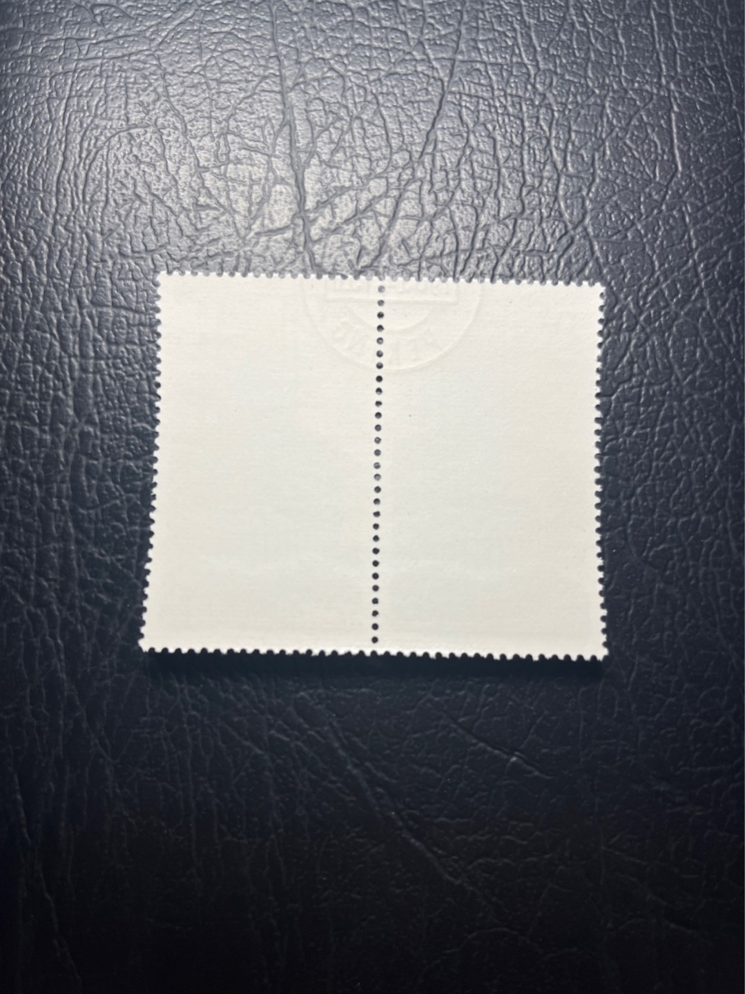 洪涛臻品 精选邮票限时拍卖第六十七期 特68新安江4-2盖销  2连，中间戳，★品相可以用完美来形容，钢戳比手戳贵不少，版撕全品嘎嘎绝 背胶雪白。解放初的经典票，整版撕开，面艳胶白，票挺洁净，齿孔完美。老纪特的版票资源十分稀缺难寻，机会来临时必须抓住。