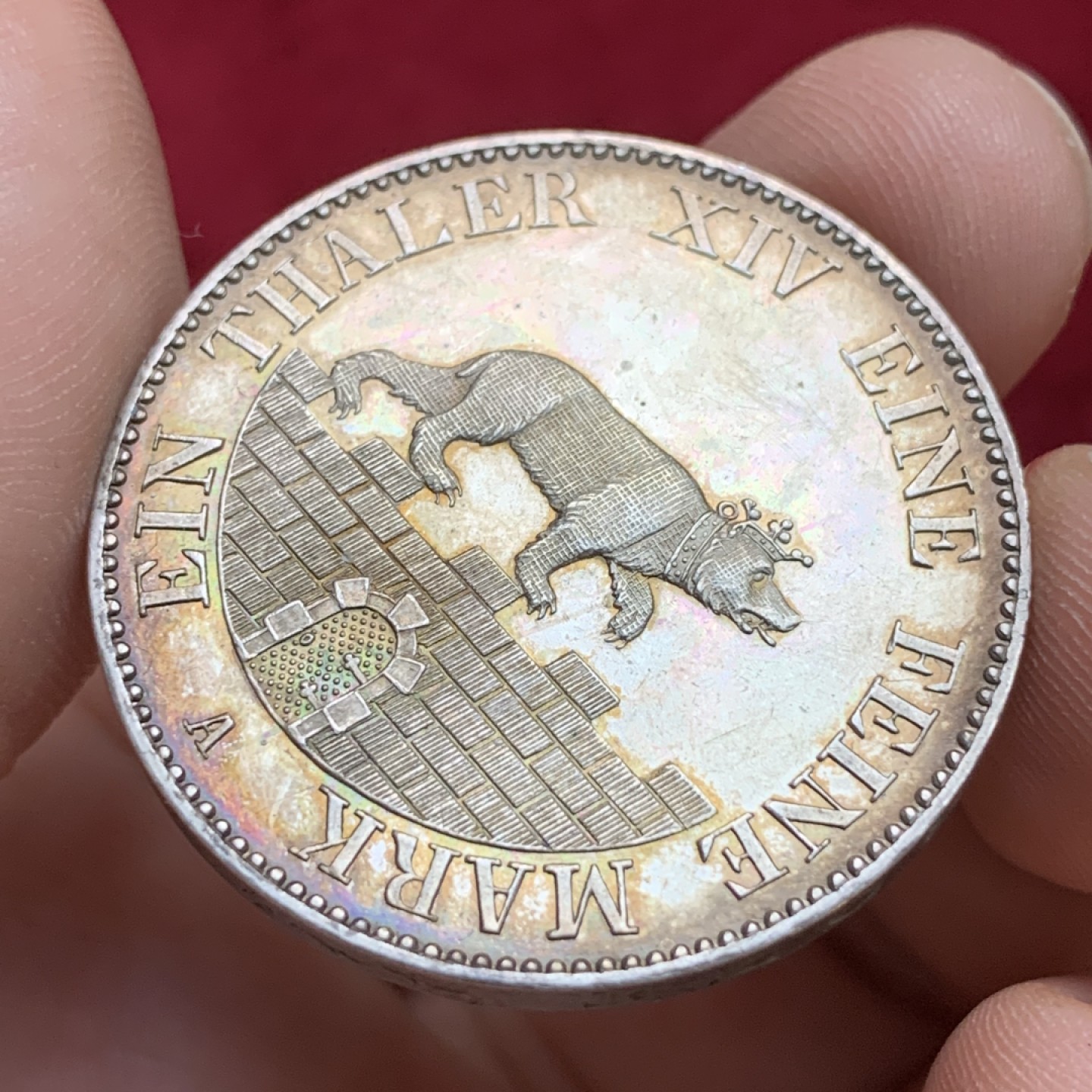 《竞宝斋》第100场-纪念拍卖 (全场包邮)中拍得限量纪念章 德国 安哈特 1855年 小熊爬墙 1泰勒大银币 双面炫五彩  细节没得说 自己都没有了 见视频吧