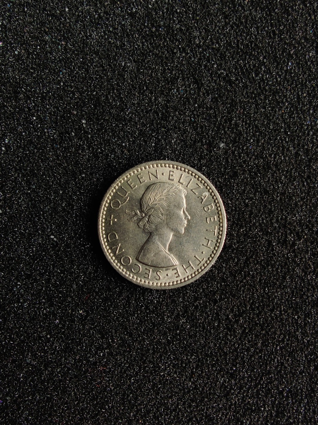 ♥一只鱼（世界钱币第二期）