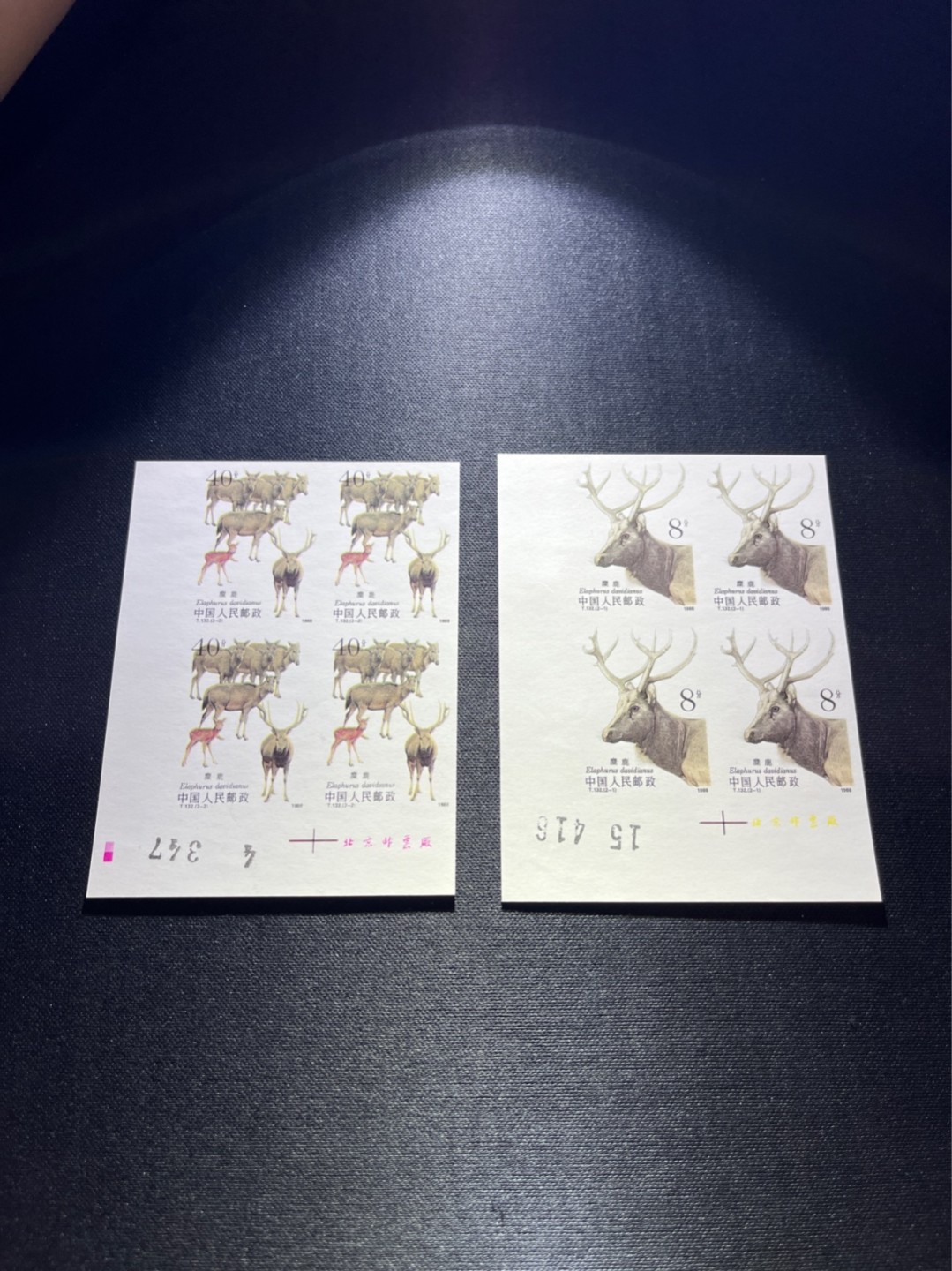 洪涛臻品 精选邮票限时拍卖第四十三期 T132无齿麋鹿新全 厂名➕数字 四方连一组✦四角尖白✦精品版货  精工细裁  收藏级品相  面艳背白，全程带硅胶手套操作，品相完美无瑕疵，三俗稀缺，喜欢的老板不要错过