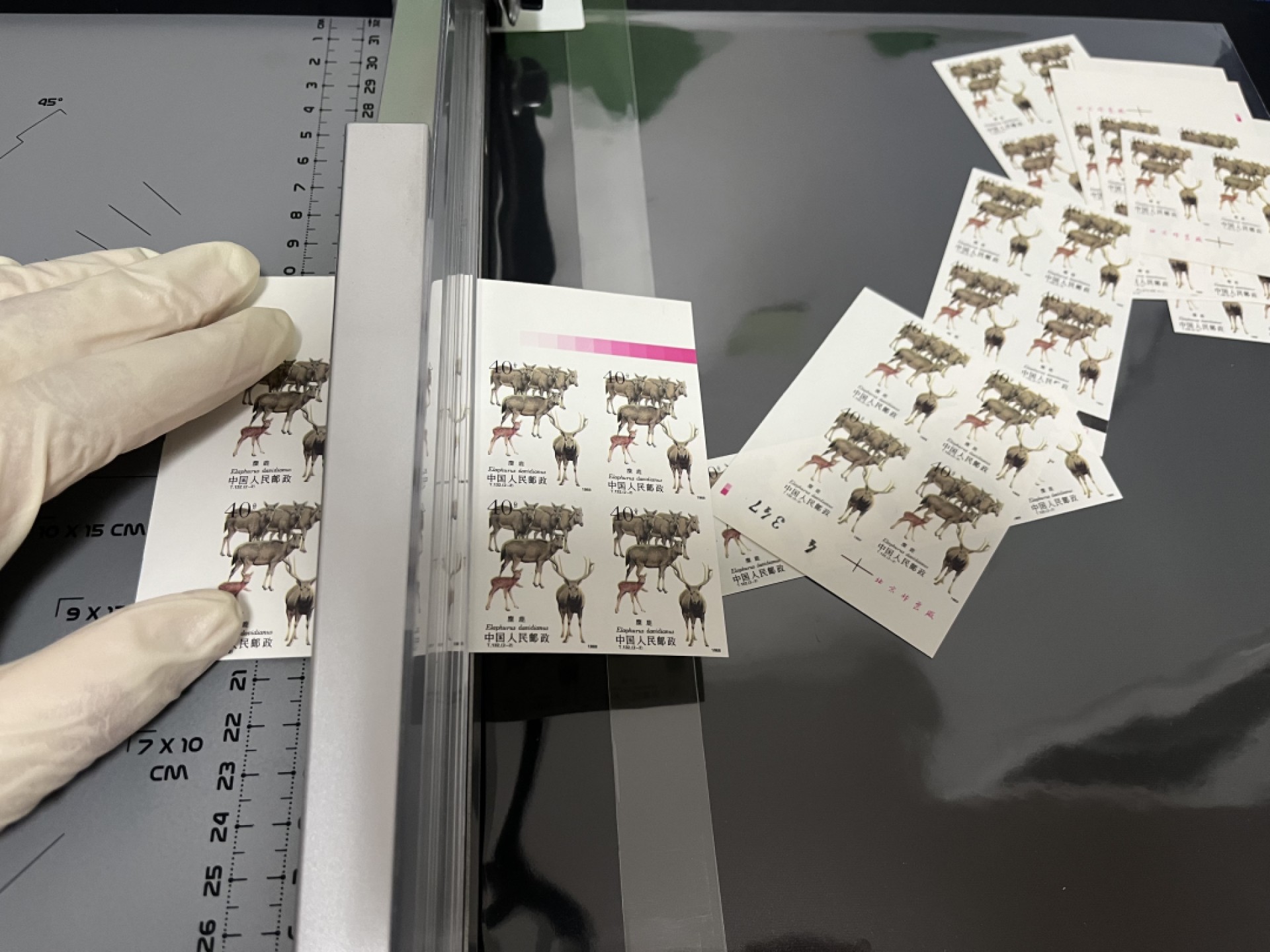 洪涛臻品 精选邮票限时拍卖第四十八期 T132无齿麋鹿新全 2横连一组✦四角尖白✦精品版货  精工细裁  收藏级品相  面艳背白，全程带硅胶手套操作，品相完美无瑕疵，喜欢的老板不要错过
