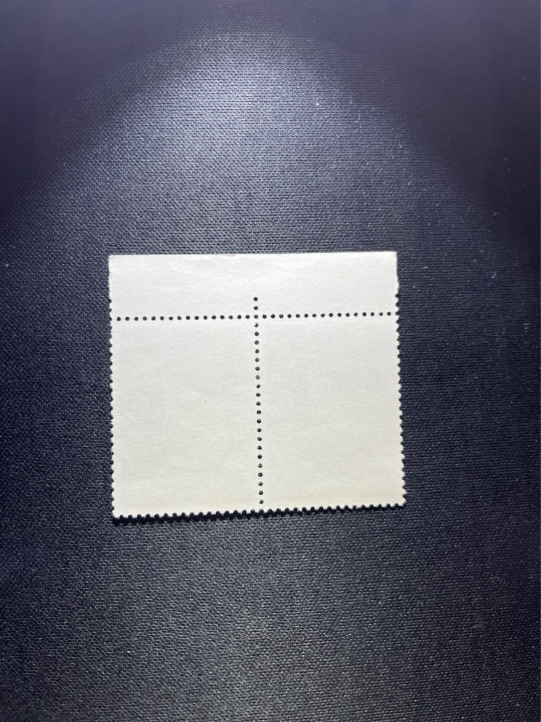 洪涛臻品 精选邮票限时拍卖第四十四期 文17  10分  厂名 色标 2连一组，全品，三俗稀缺，喜欢不要错过，全品可评级。！《ASG评级处于初级阶段，注意建仓便宜的版撕货，未来市场前景不可估量！！！！》