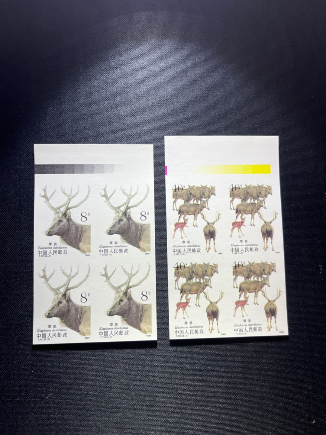 洪涛臻品 精选邮票限时拍卖第四十四期 T132无齿麋鹿新全   色标  四方连一组  精品版货  精工细裁 ，四角白尖， 收藏级品相  面艳背白，全程带硅胶手套操作，品相完美无瑕疵，喜欢的老板不要错过