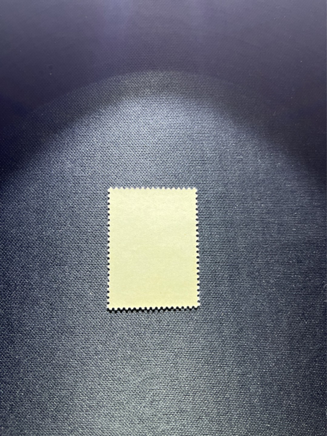 洪涛臻品 精选邮票限时拍卖第四十四期 纪92古科  8-2 盖销 全品。老纪特三俗稀缺，解放初的经典票，整版撕开，面艳胶白，票挺洁净，齿孔完美，收藏评级两相宜，且有高附加值边纸。老纪特的版票资源十分稀缺难寻，机会来临时必须抓住。