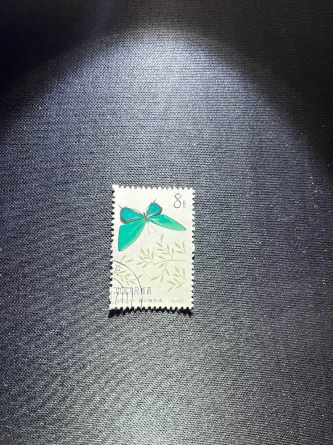 洪涛臻品 精选邮票限时拍卖第四十六期 特56蝴蝶盖销  20-10一枚，版撕全品嘎嘎绝，钢戳，面艳胶白，六珍之一，非常受欢迎的品种，新票价格高，盖销全品不要错过
