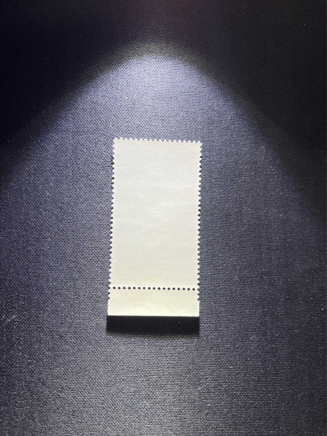 洪涛臻品 精选邮票限时拍卖第四十六期 特68新安江4-3盖销，厂名  三俗稀缺，版撕全品嘎嘎绝，背胶雪白。解放初的经典票，整版撕开，面艳胶白，票挺洁净，齿孔完美，收藏评级两相宜，且有高附加值边纸。老纪特的版票资源十分稀缺难寻，机会来临时必须抓住。   