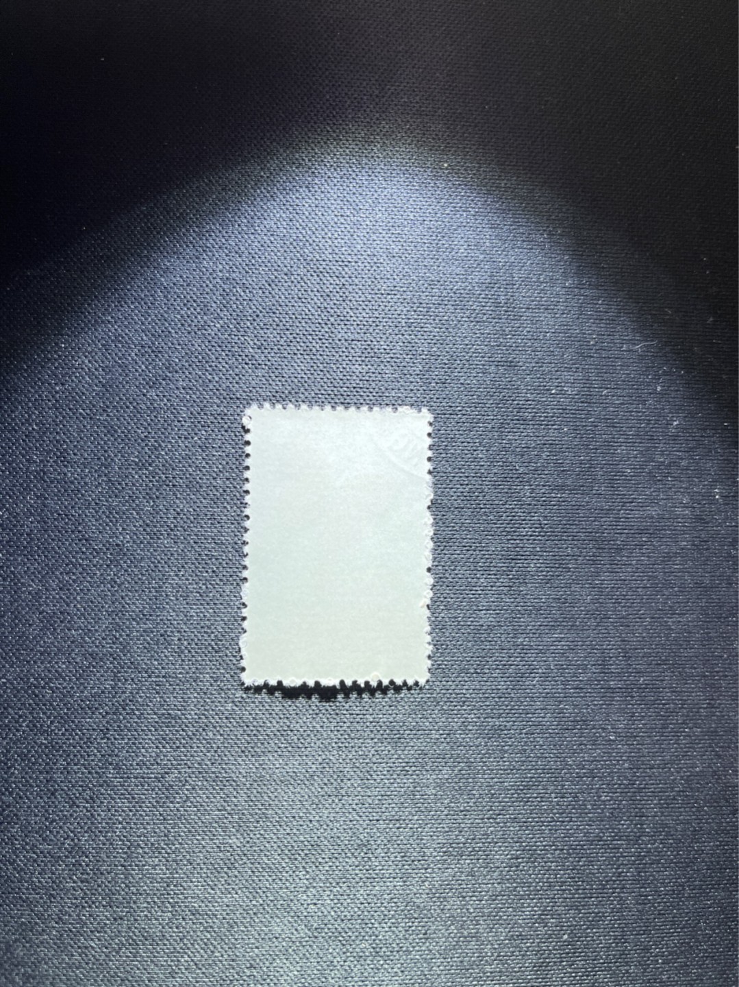 洪涛臻品 精选邮票限时拍卖第四十八期 特56蝴蝶盖销  20-8一枚，版撕全品嘎嘎绝，钢戳，面艳胶白，六珍之一，非常受欢迎的品种，新票价格高，盖销全品不要错过