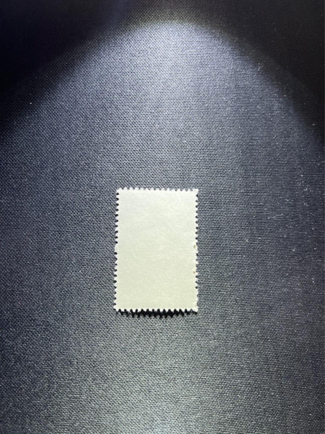 洪涛臻品 精选邮票限时拍卖第四十六期 特56蝴蝶盖销  20-10一枚，版撕全品嘎嘎绝，钢戳，面艳胶白，六珍之一，非常受欢迎的品种，新票价格高，盖销全品不要错过